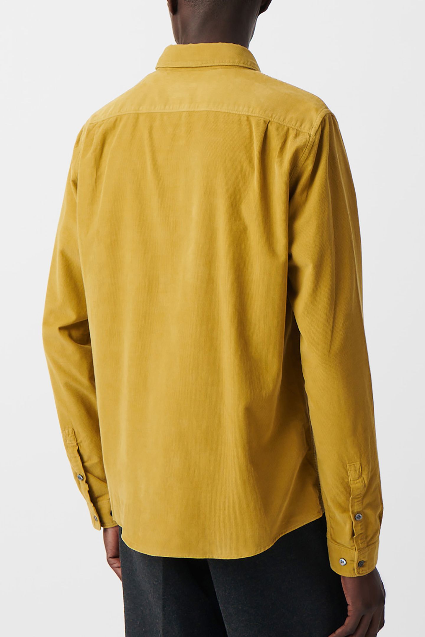 SHIRT REGULAR LICHEN VELVET MILLERAIES 2