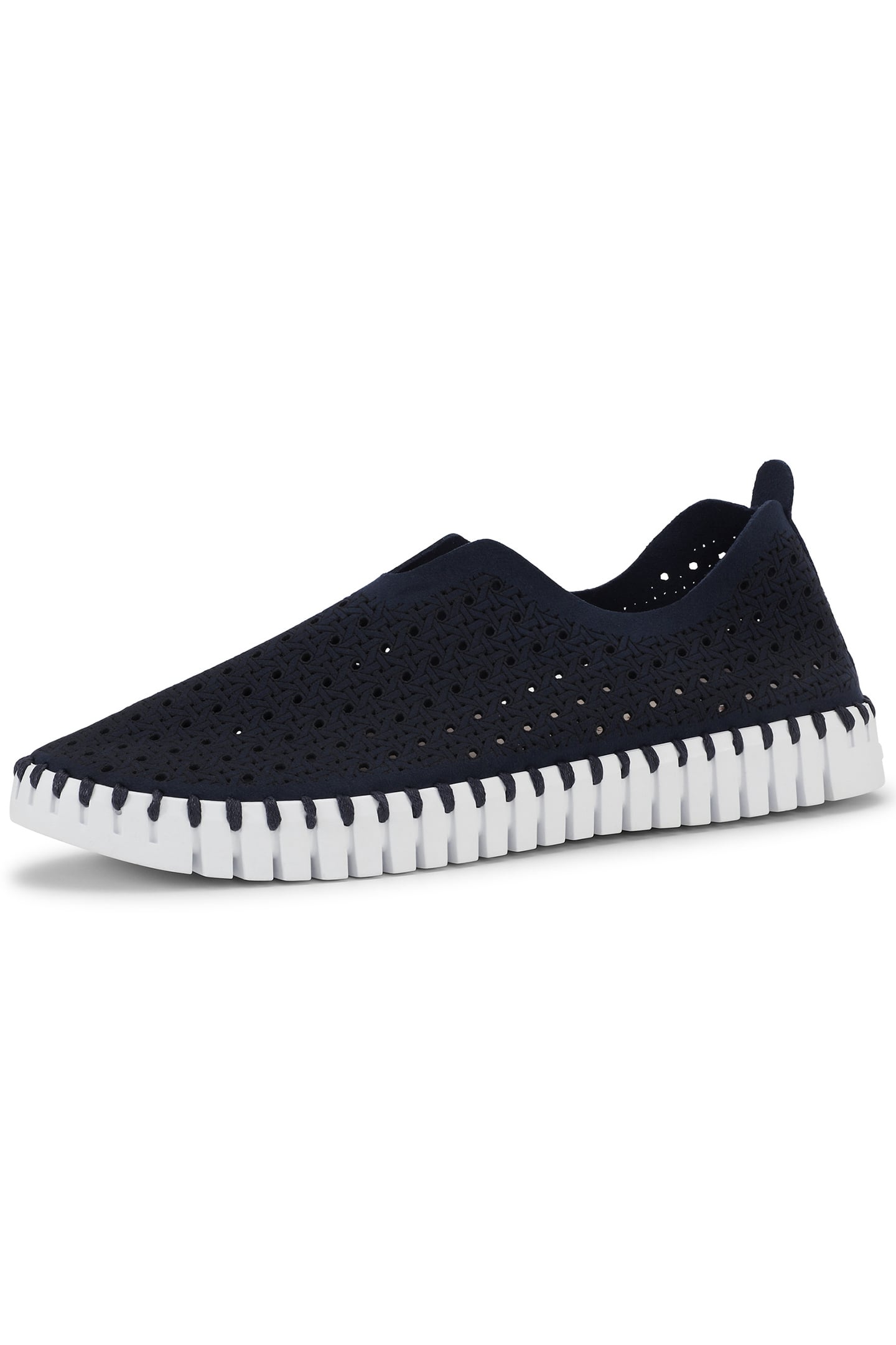 TULIP4031 DARK INDIGO WHITE 8
