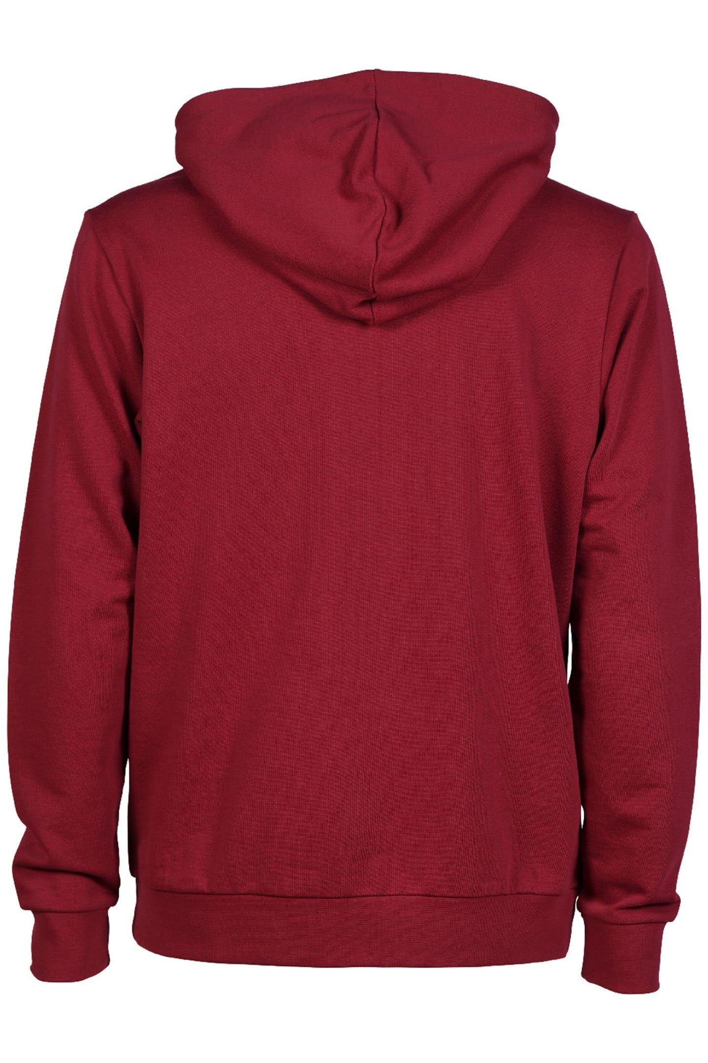 UNISEX ARENA ICONS HOODED SWEAT SOLID BURGUNDY NEON BLUE 8