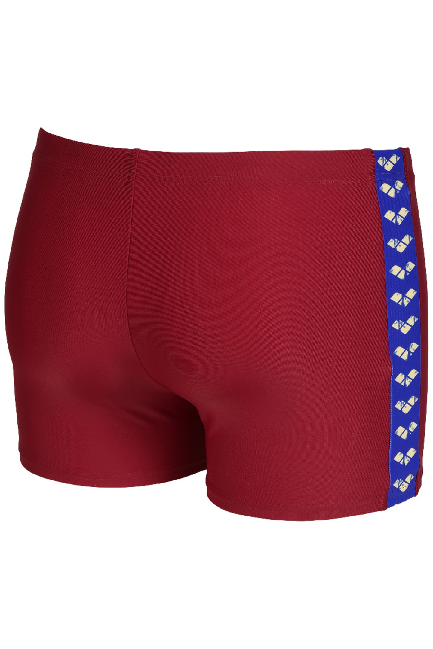 MEN'S ARENA ICONS SWIM SHORT SOLID BURGUNDY 7