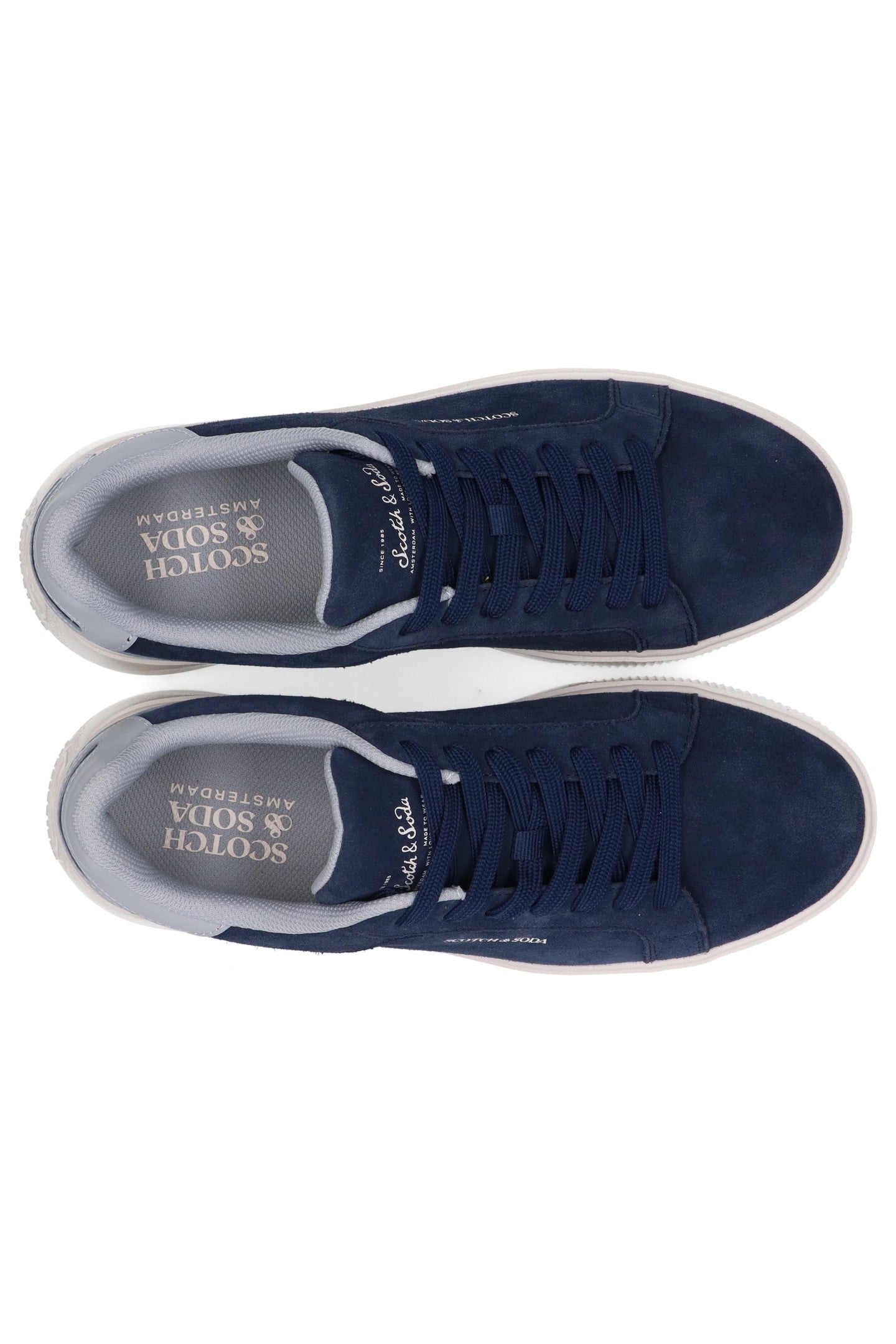 COLEMAN BLUE 3