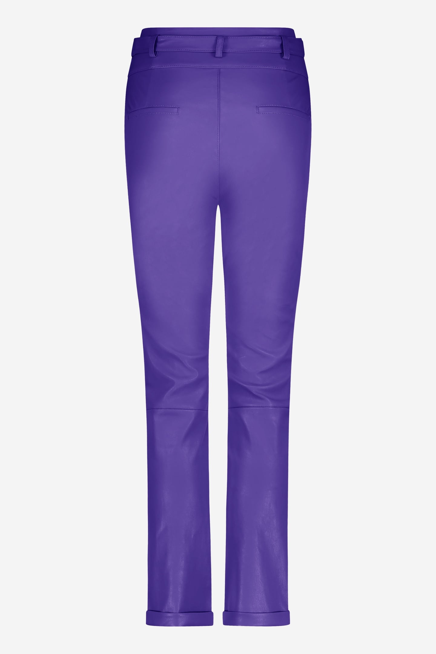PAXTON VIOLET 4