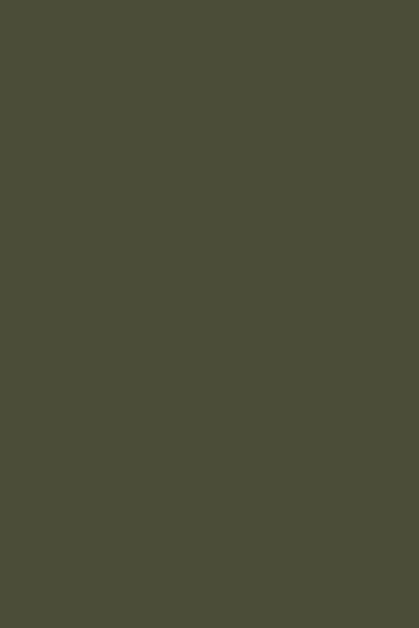 BAPO PULLOVER KHAKI/BLACK 6