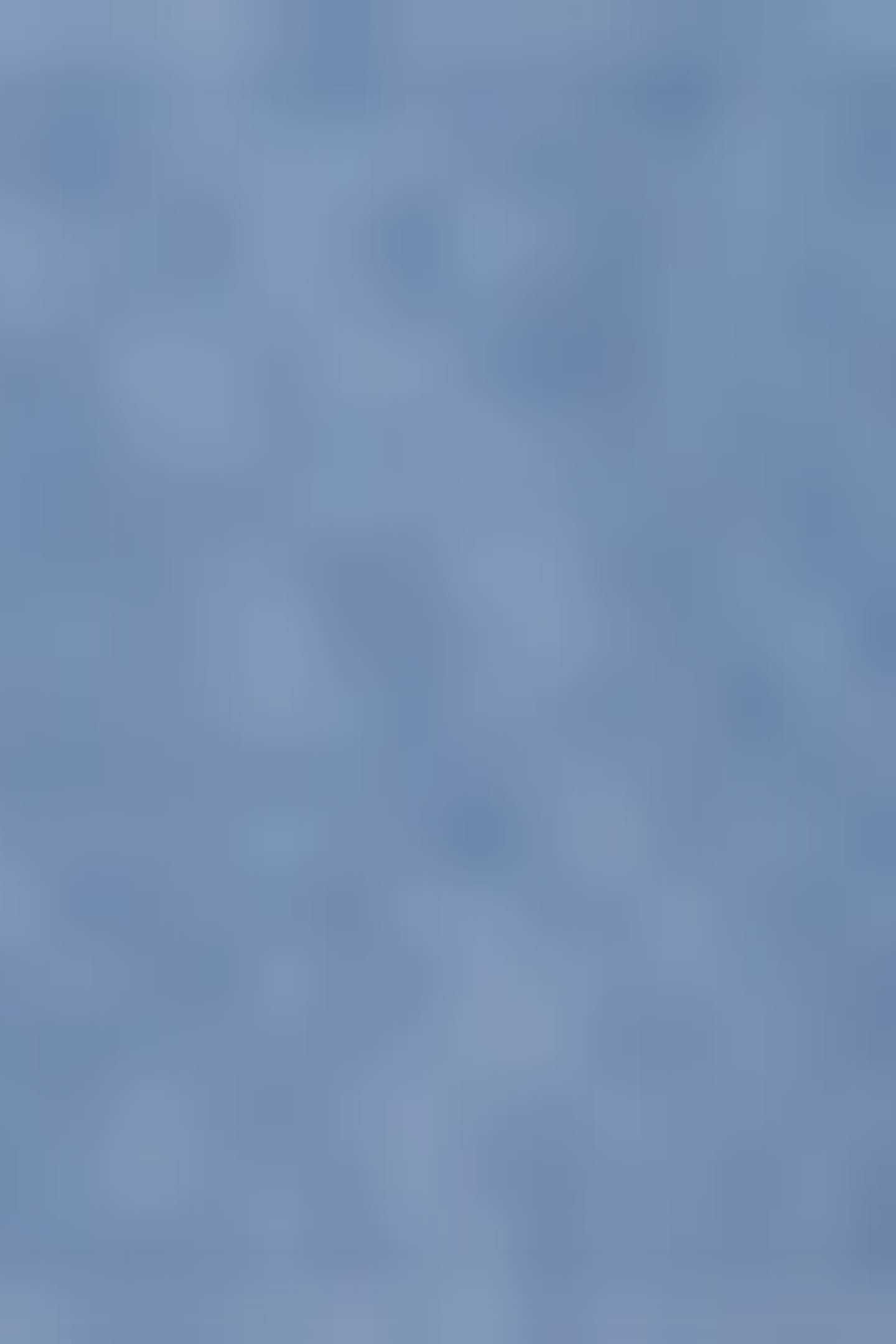 NOLAN MEDIUM BLUE 5