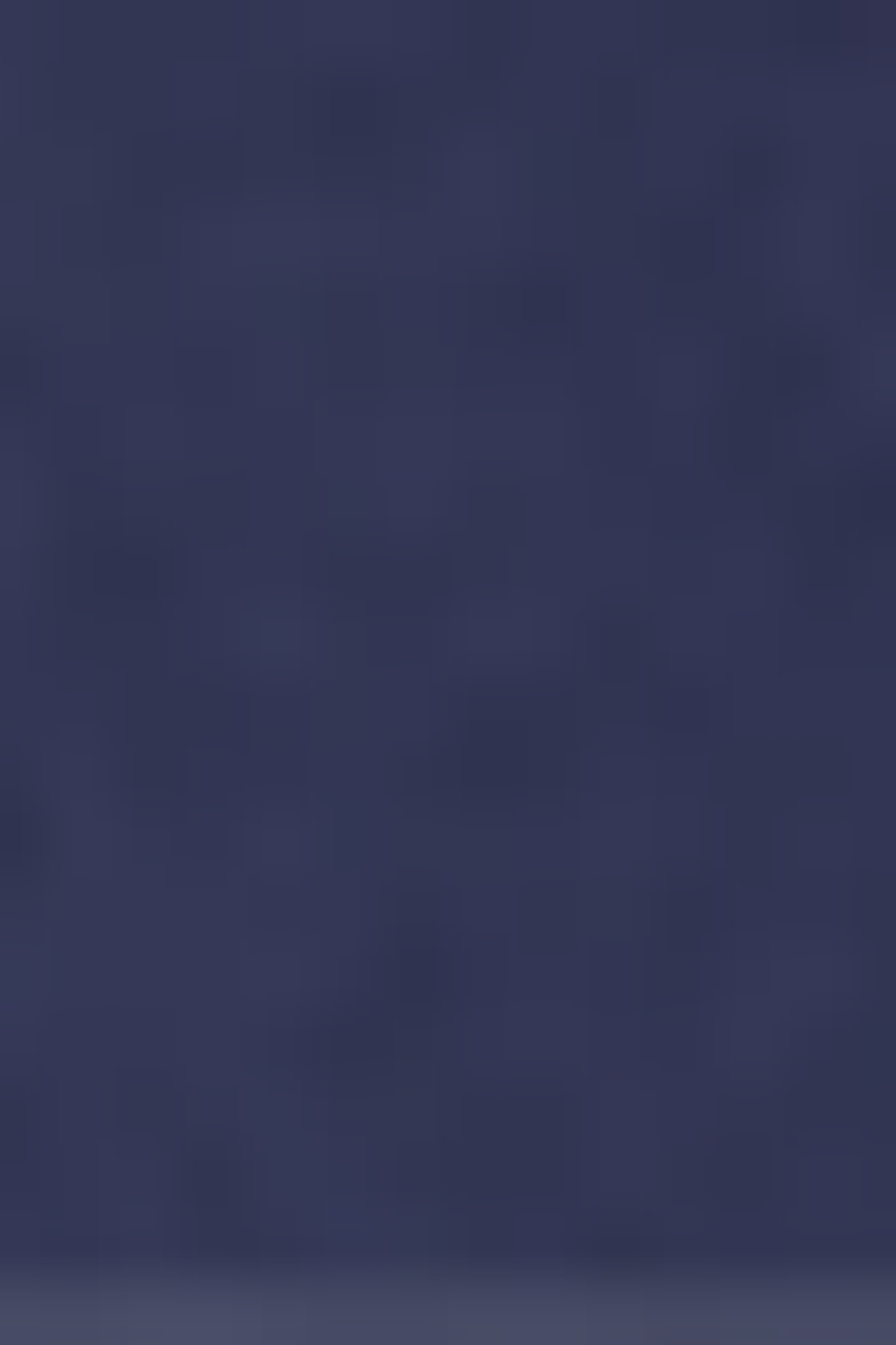 EVERT DARK BLUE 5