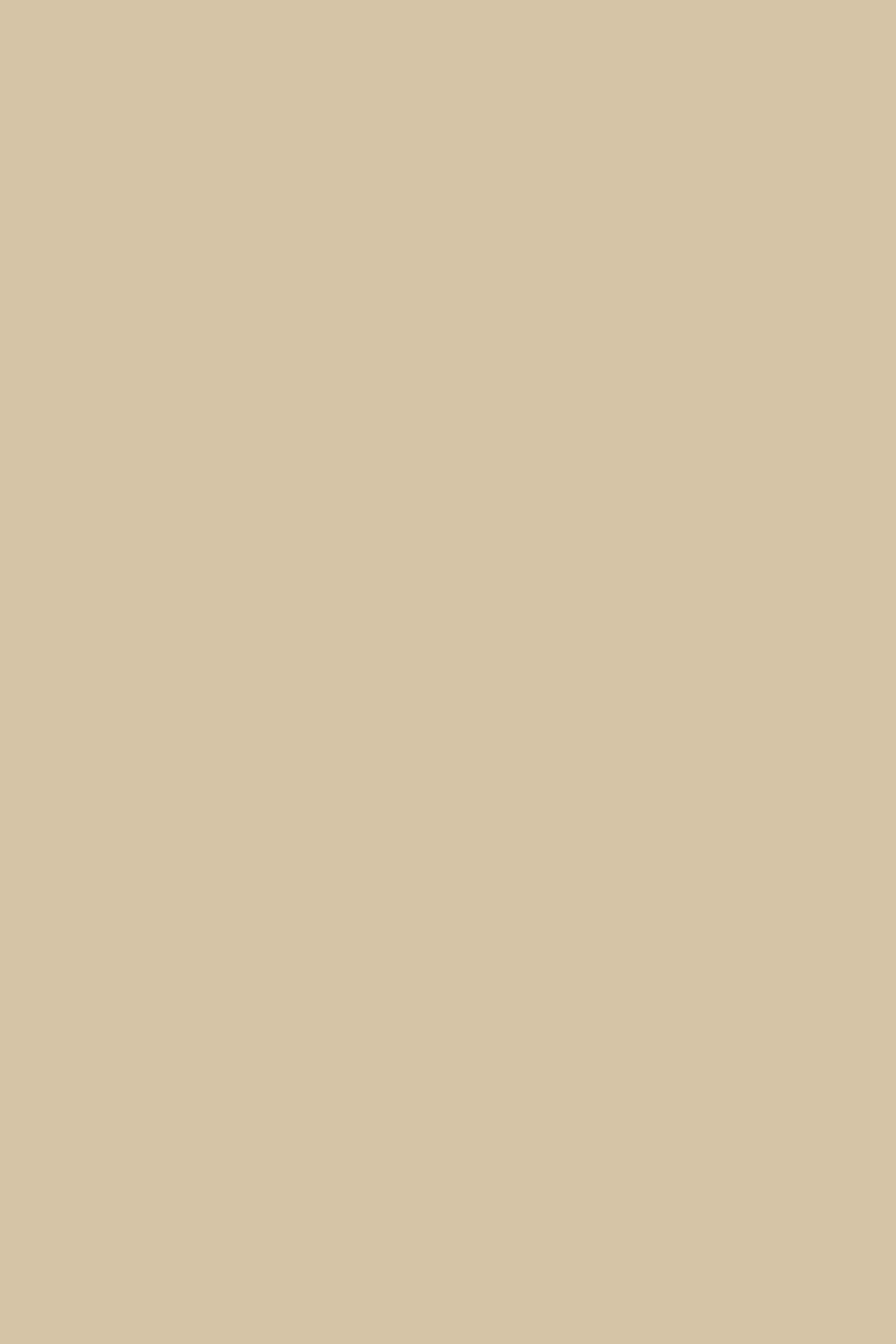 NERADAY OBI BELT BEIGE STUDS 3