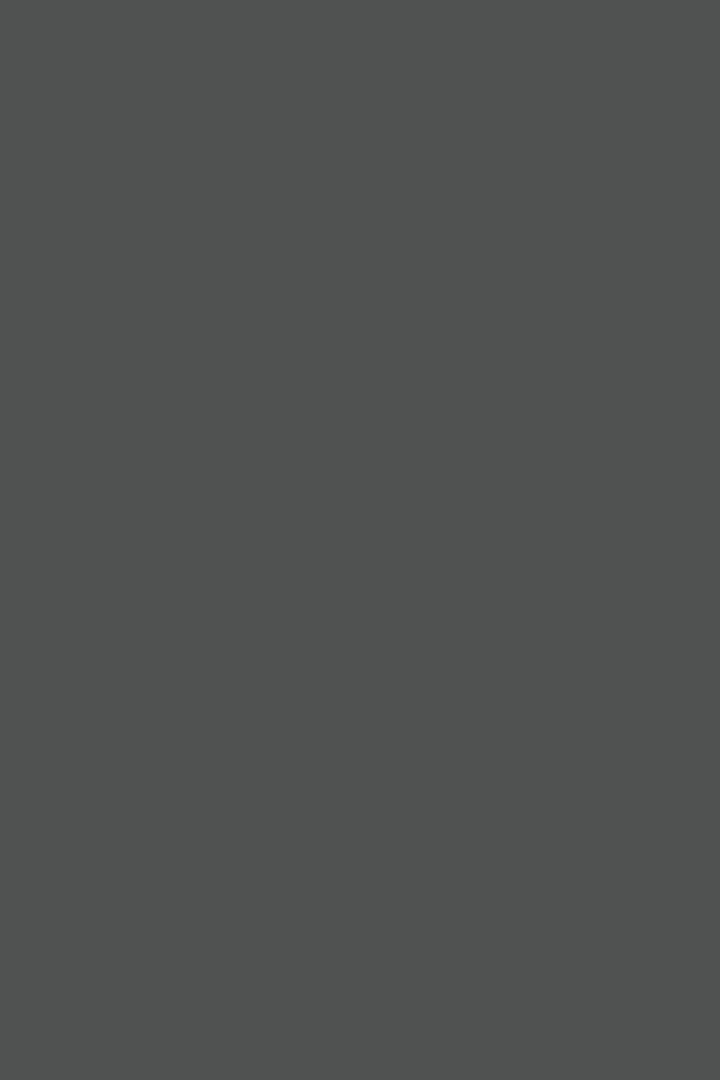 PULES PULLOVER PRINT ANIMAL GREY 4