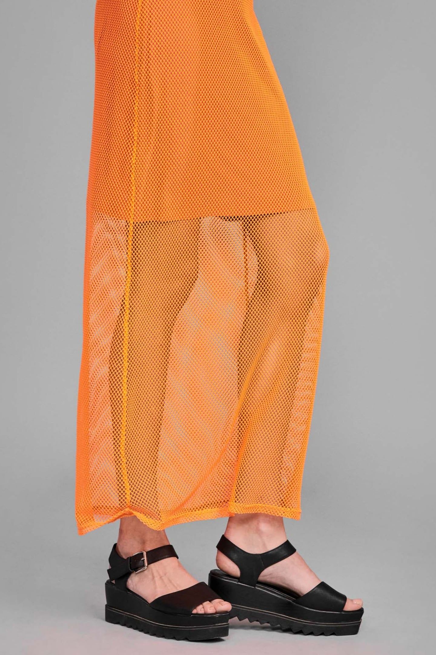 VAXILLA CARROT 2