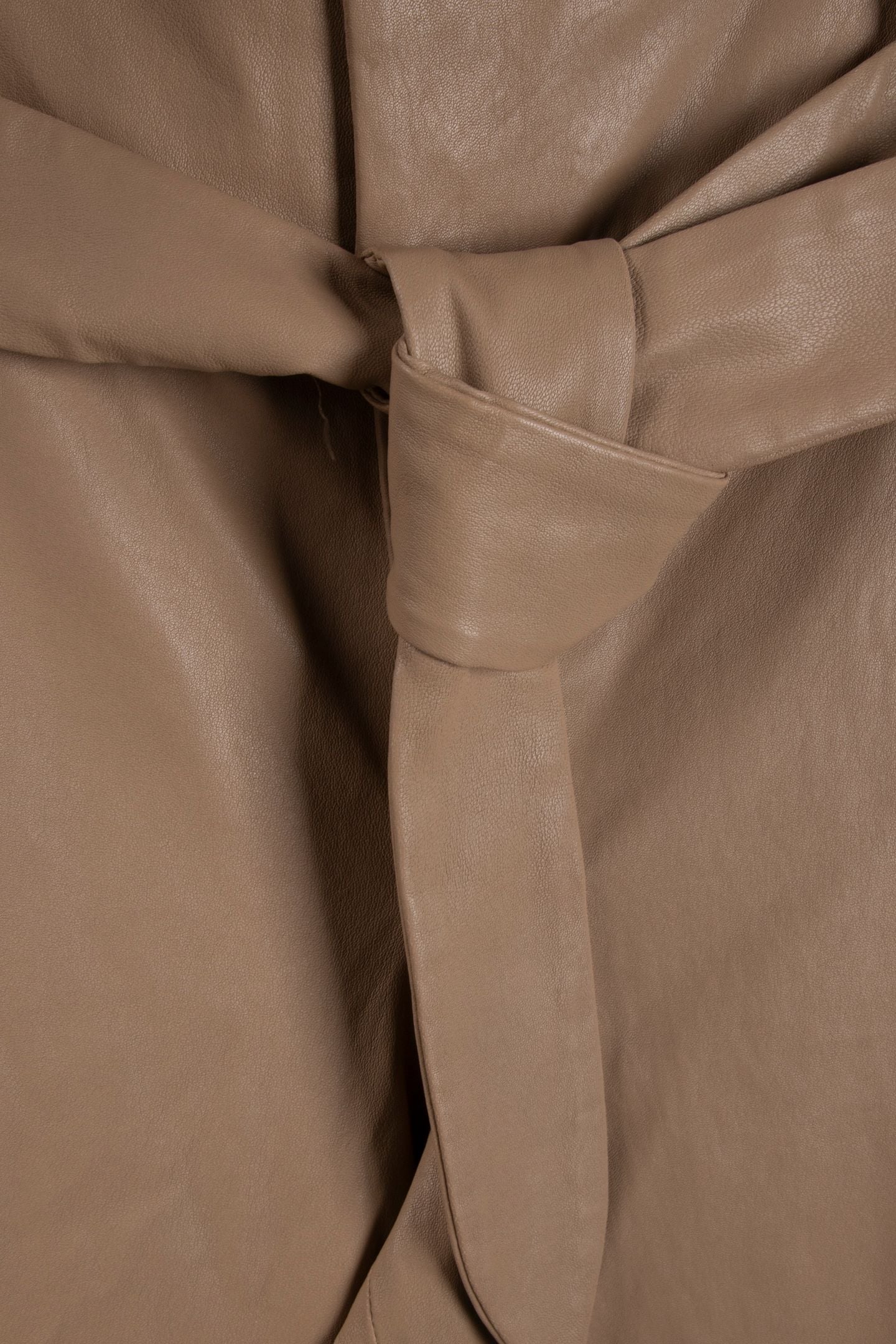 PALOMA CAMEL 4