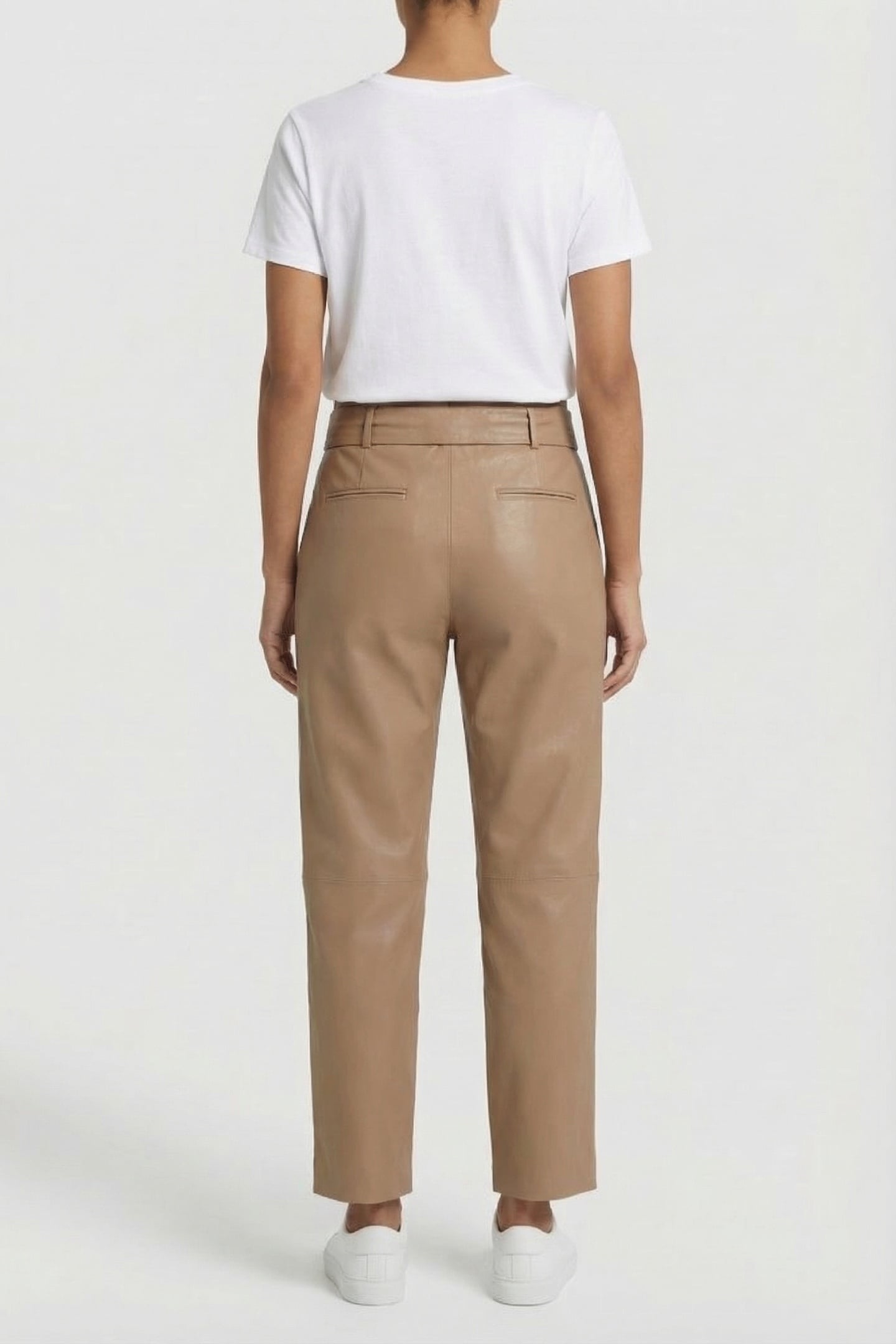 PALOMA CAMEL 2