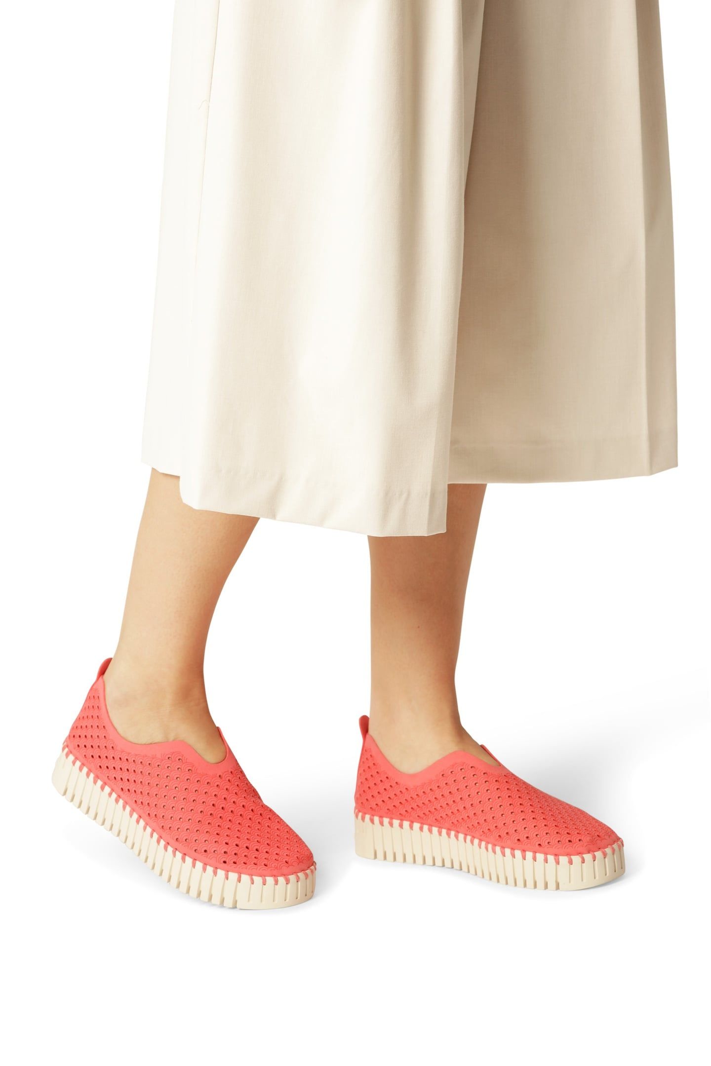 FLATS TULIP3373 RASPBERRY 1