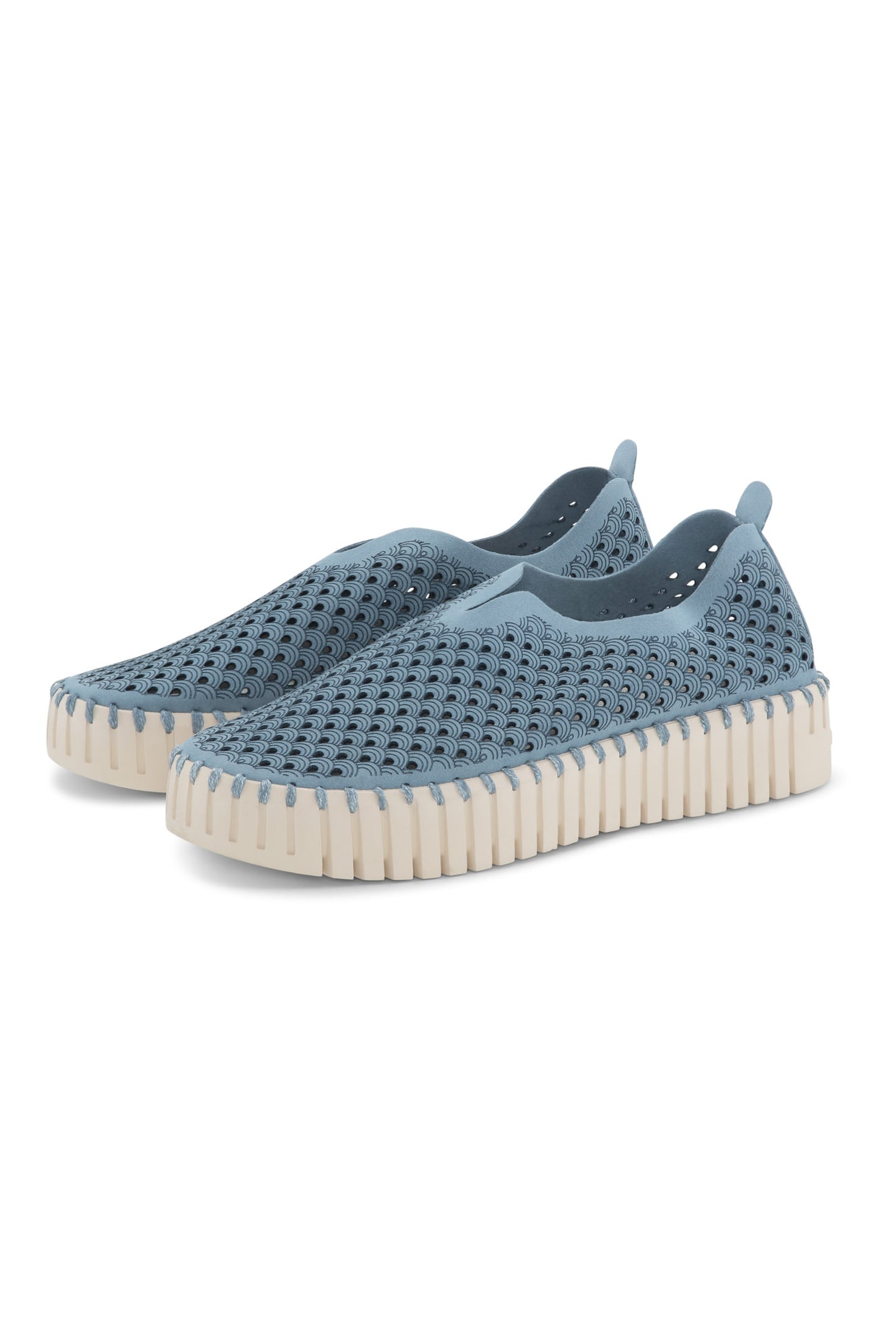 FLATS TULIP3373 BLUE CLOUD 5