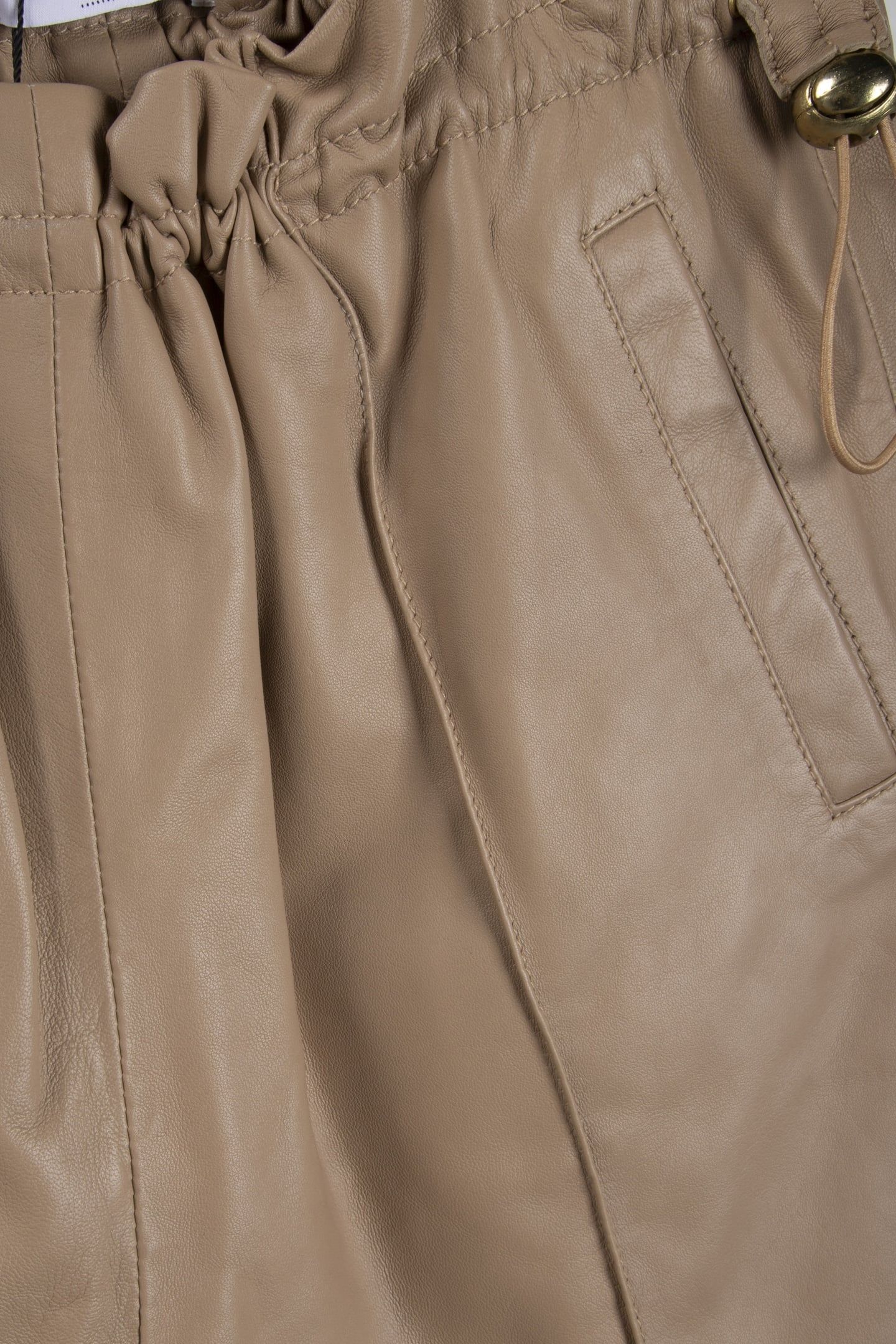SHIVA CAMEL 4