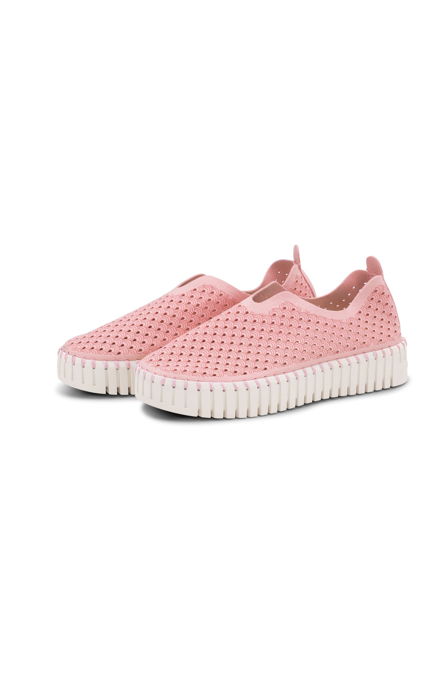 FLATS TULIP3373 ADOBE ROSE 5