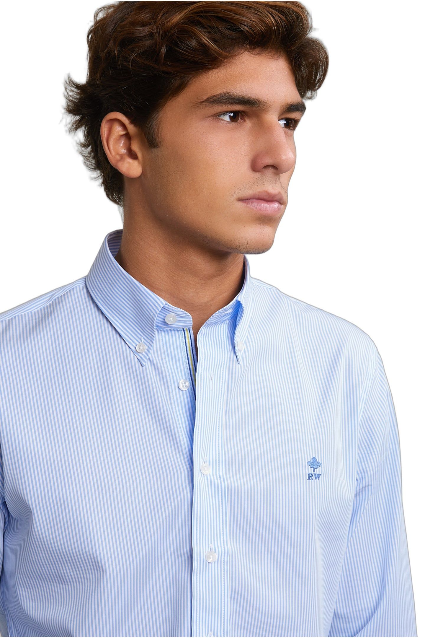 SLIM FIT STRIPED COTTON SHIRT BLUE 4