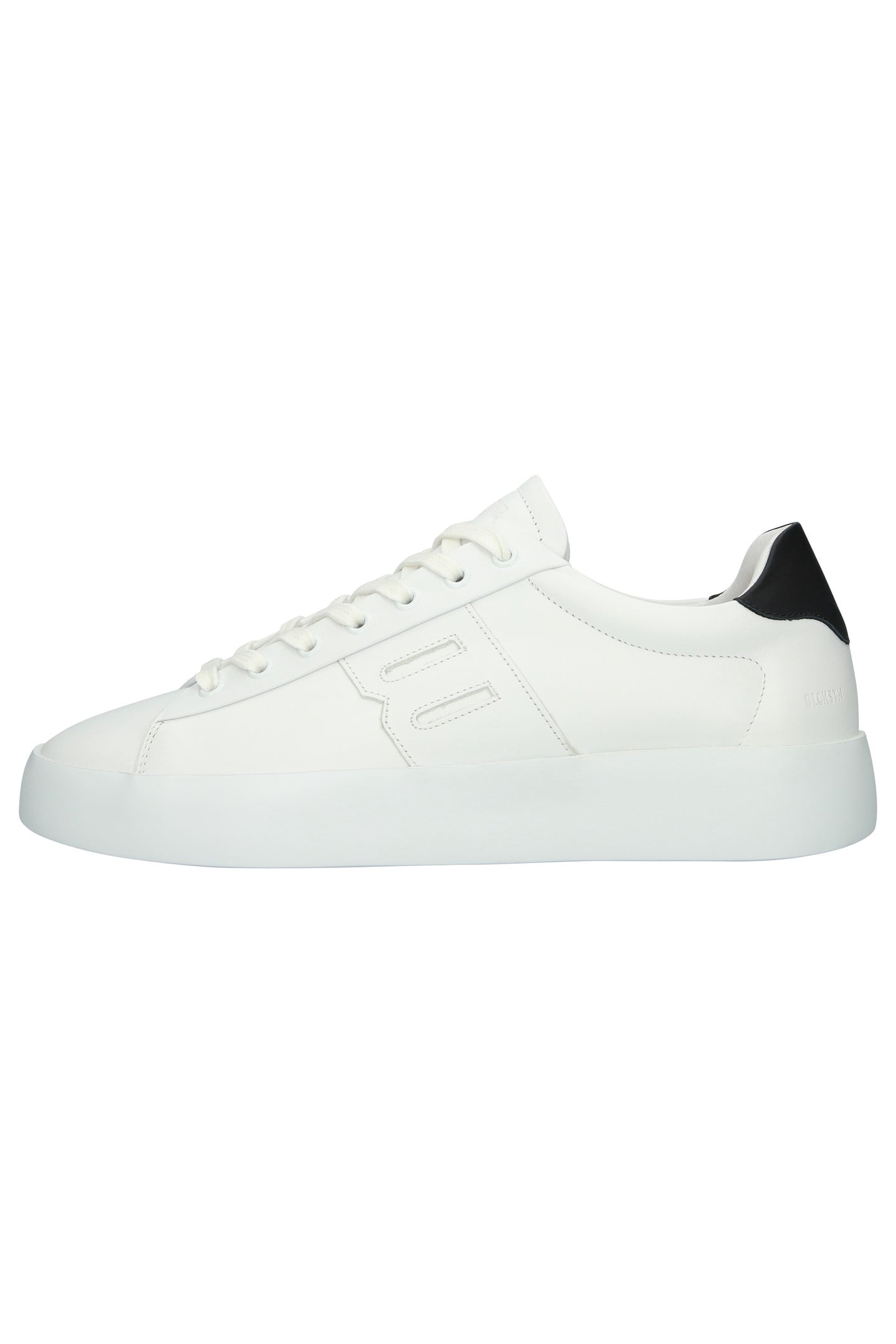 SKARN RAY WHITE 5