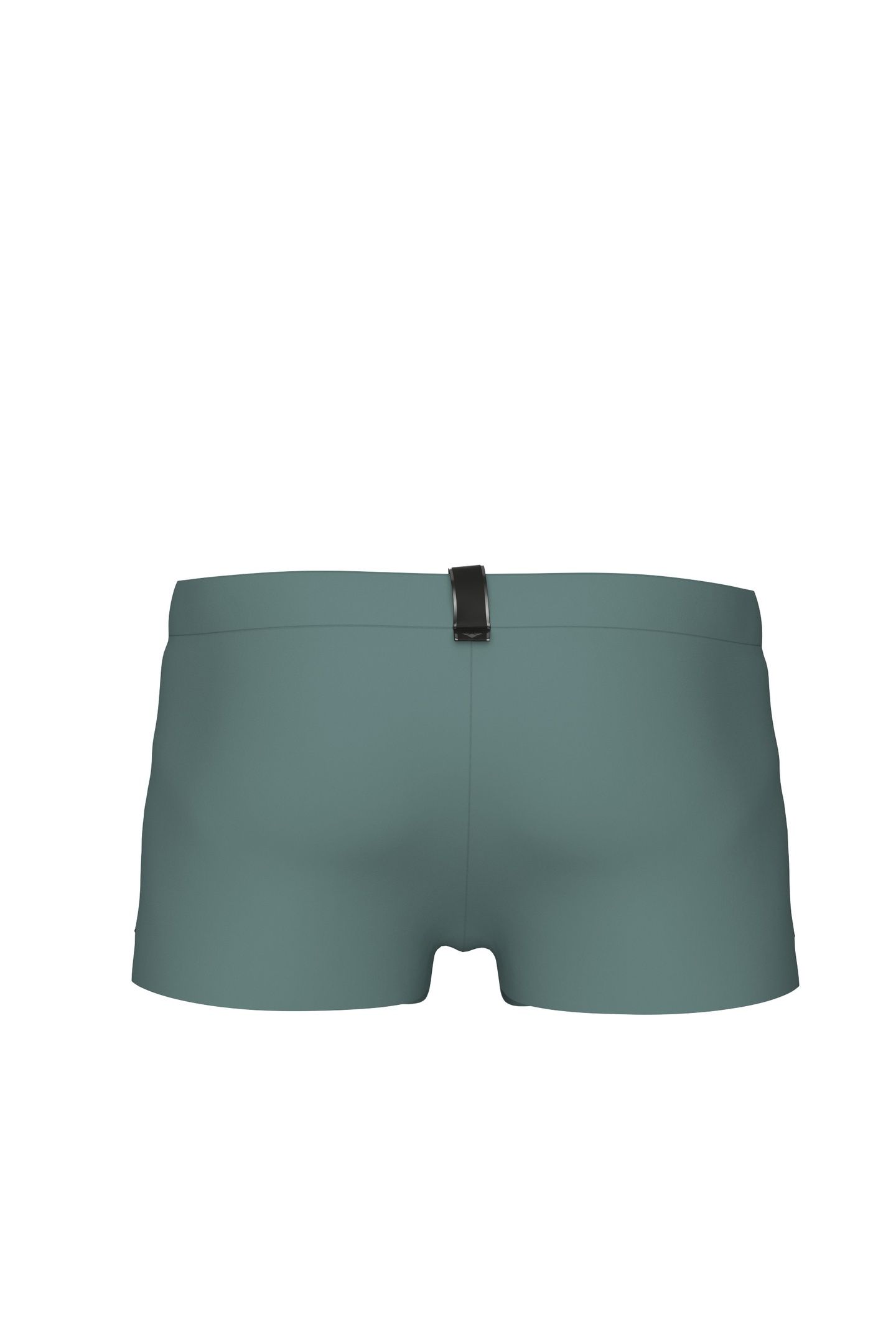 EVO SWIM SHORT SAGE 10
