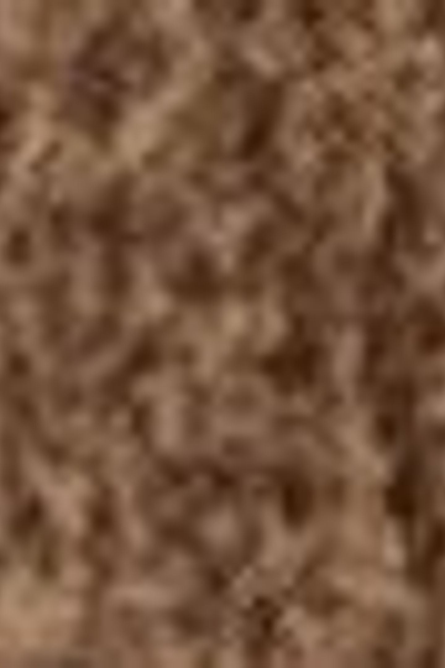 LOIRE SUEDE BELT 4