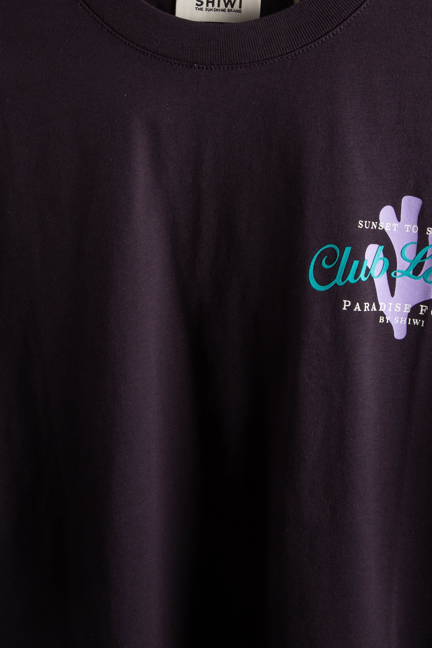 LIAM REGULAR T-SHIRT PARADISE PURPLE ROCK 4