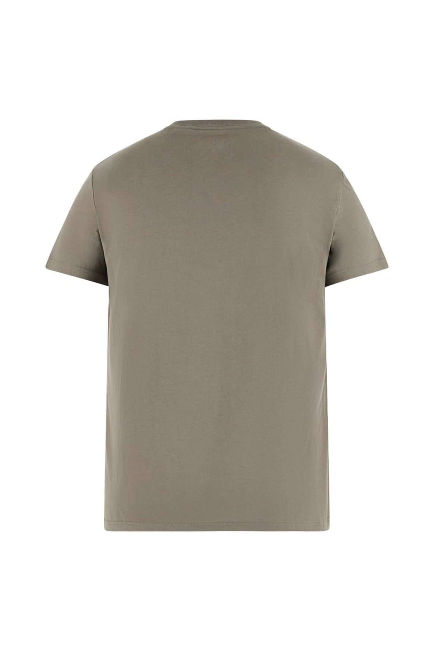 GUESS ECO SS CN TRIANGLE TEE SAGE PLANT 4