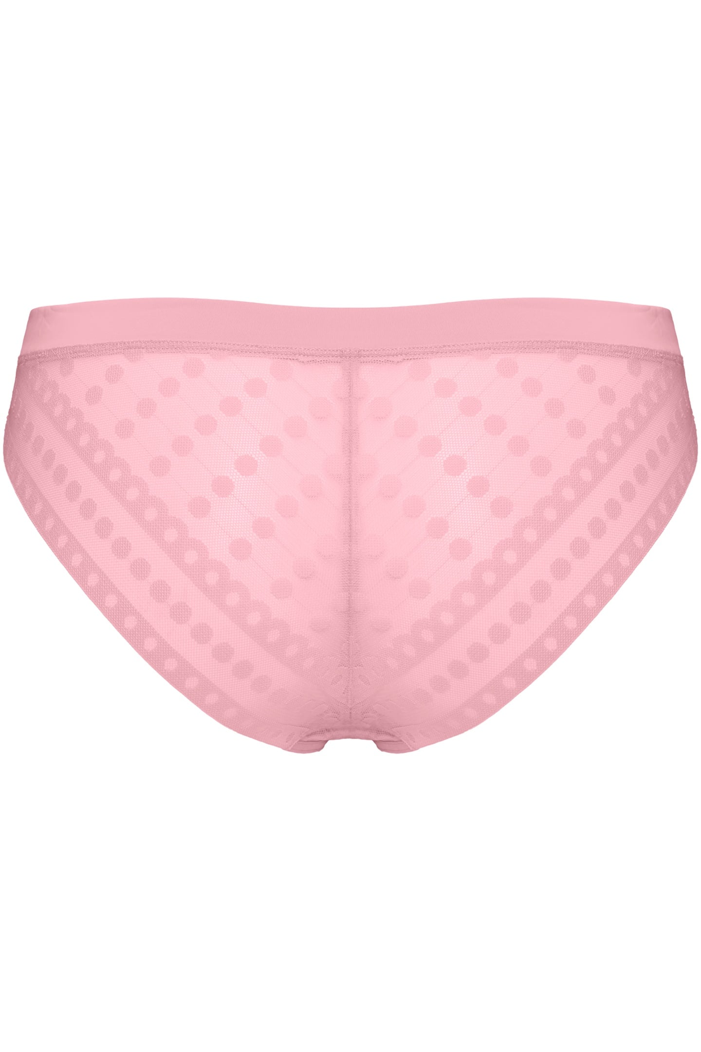 LUMINOSA BOTTOMBRIEFS PINK 4