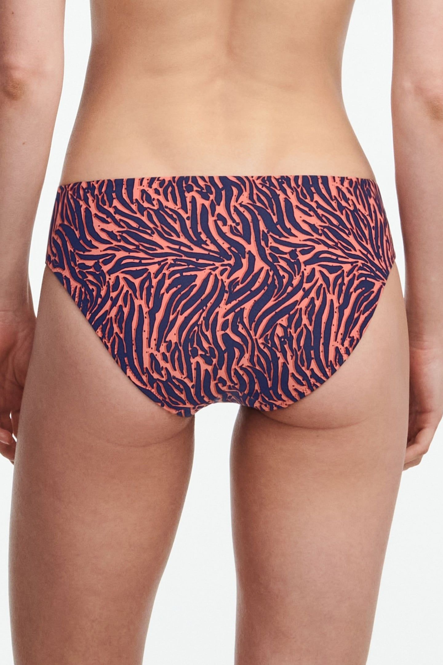 SW BO. BRIEF STD STD W. ZEBRA 2