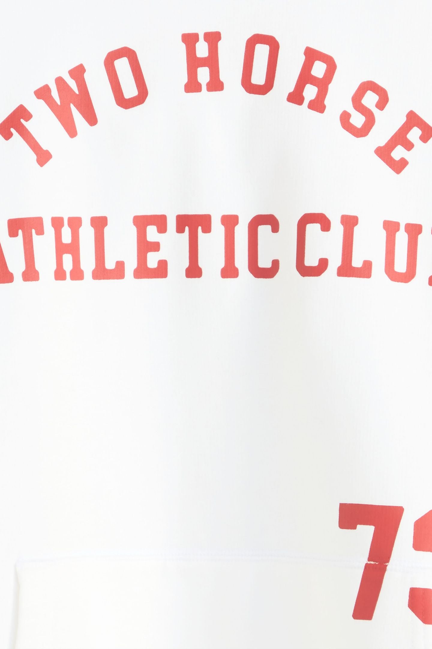 TWO HORSE CROPPED HOODIE 6