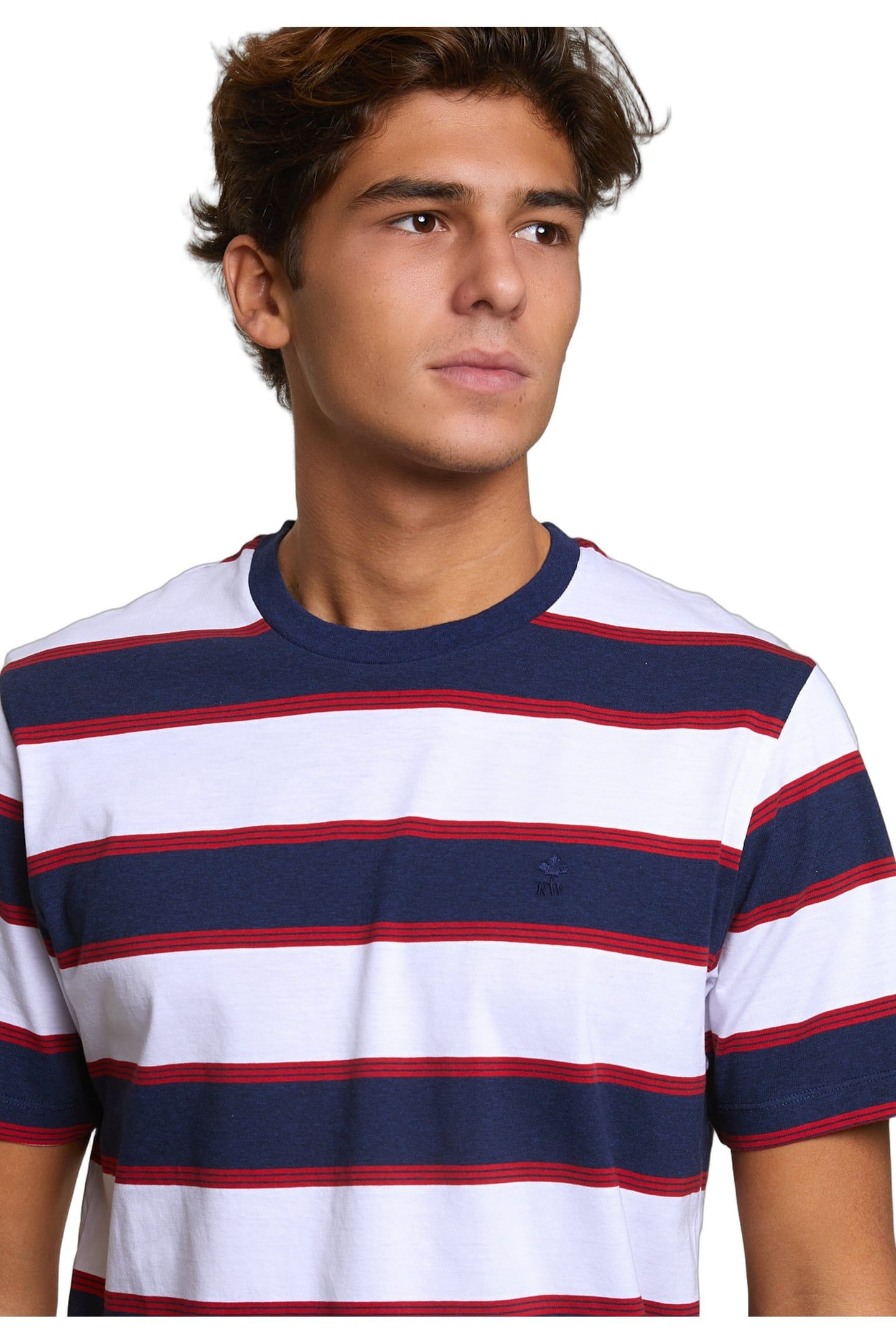 CUSTOM FIT STRIPED T-SHIRT OXFORD BLUE/HARVARD RED 3
