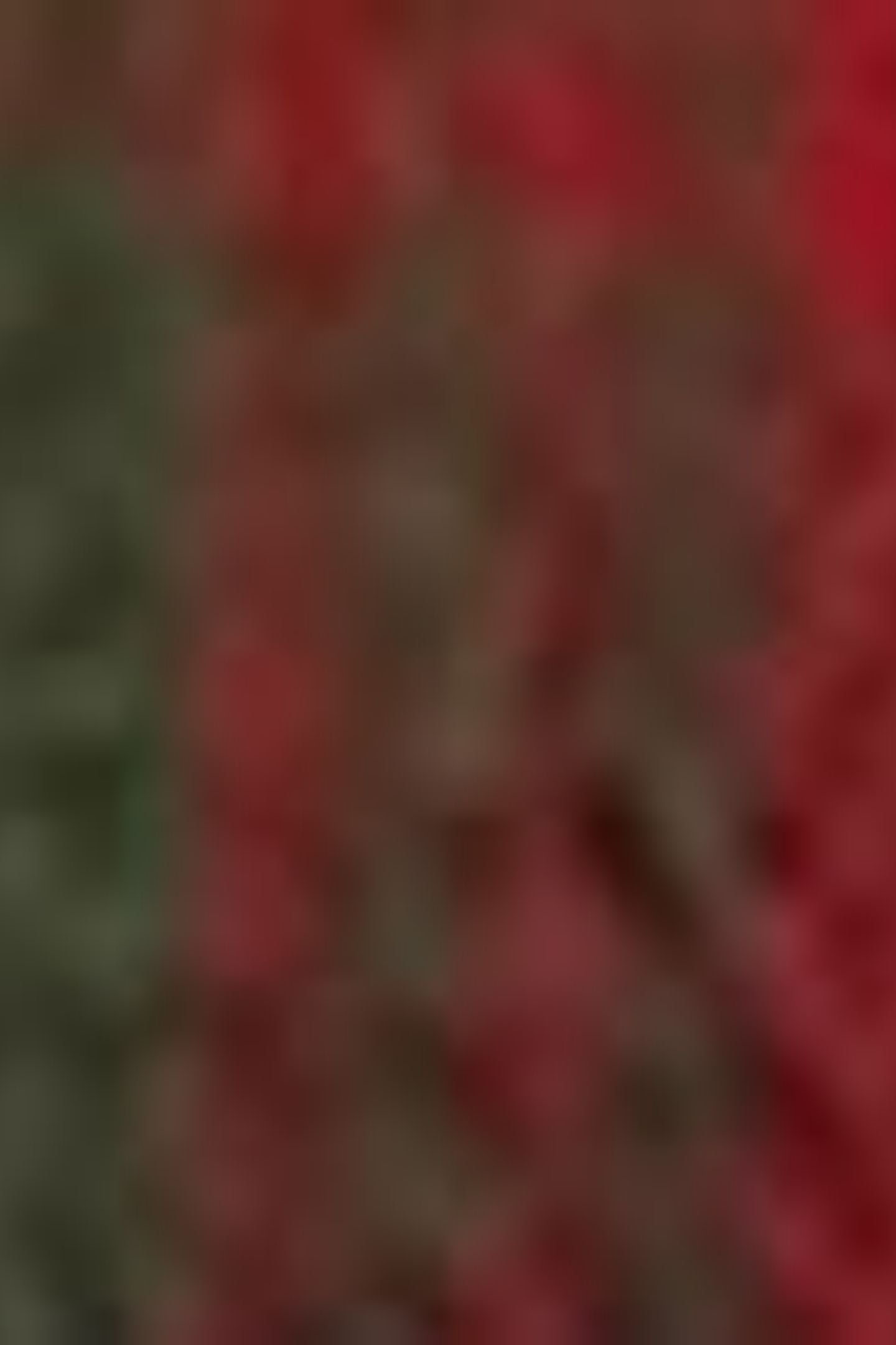 JACKSON WORKER CALVIN PLAID RHYTHMIC RED 7