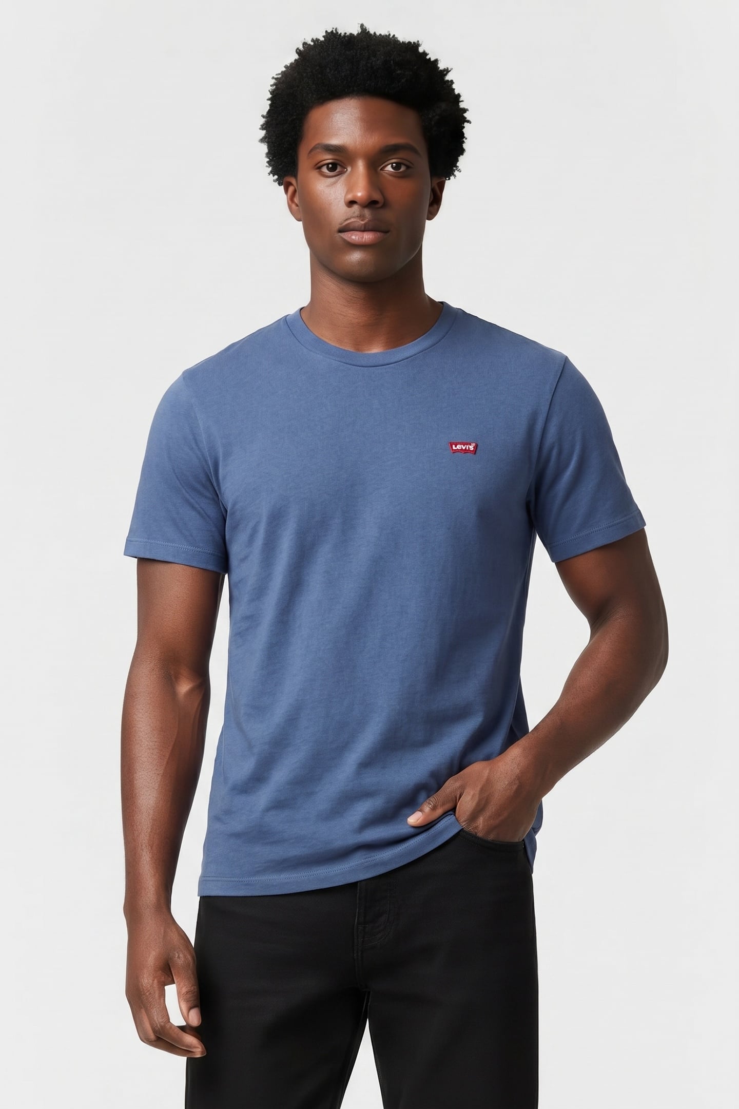SS ORIGINAL HM TEE VINTAGE INDIGO 1