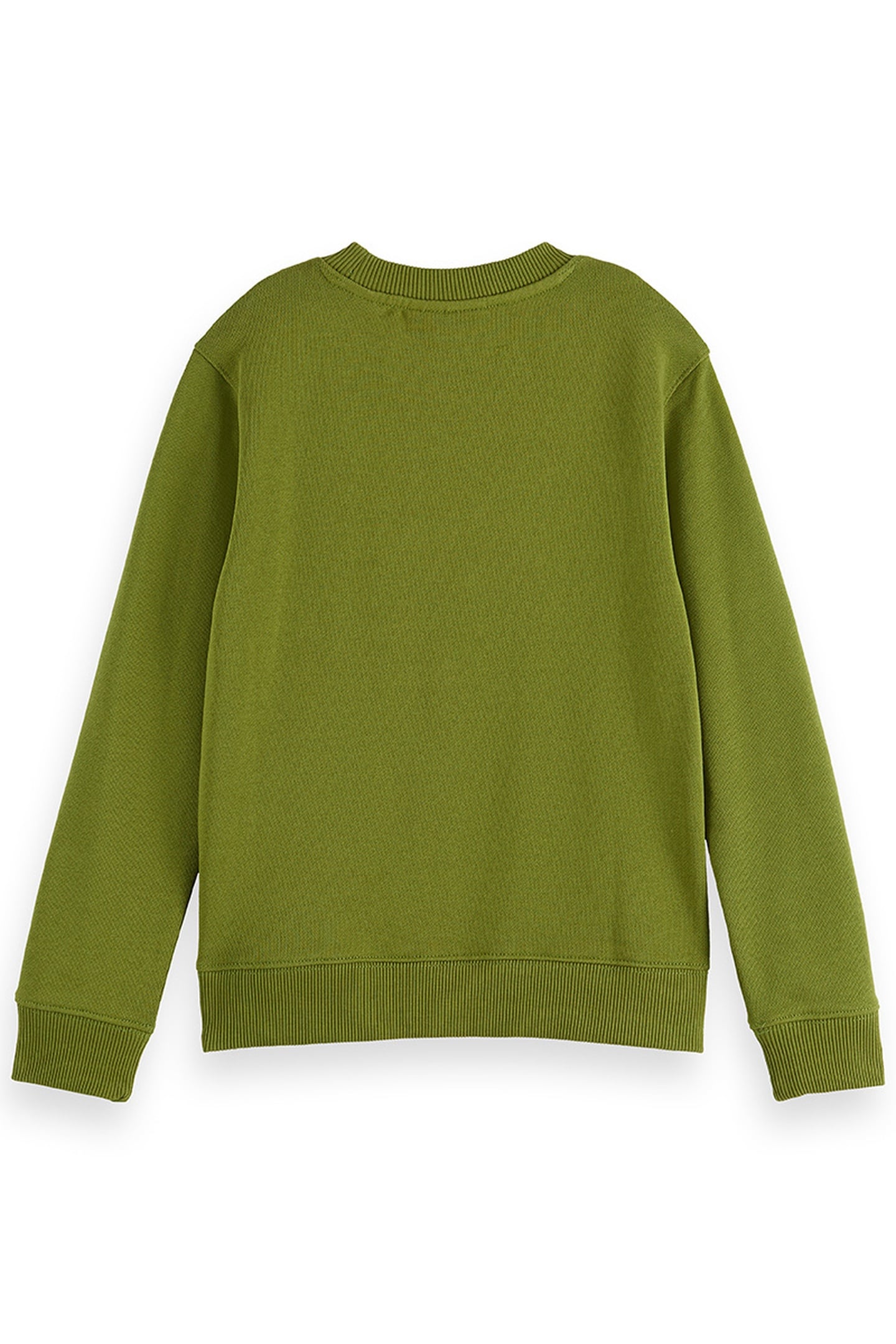 BOY REGULAR-FIT SWEATSHIRT WITH FRONT ARTWORK CALLA GREEN 2