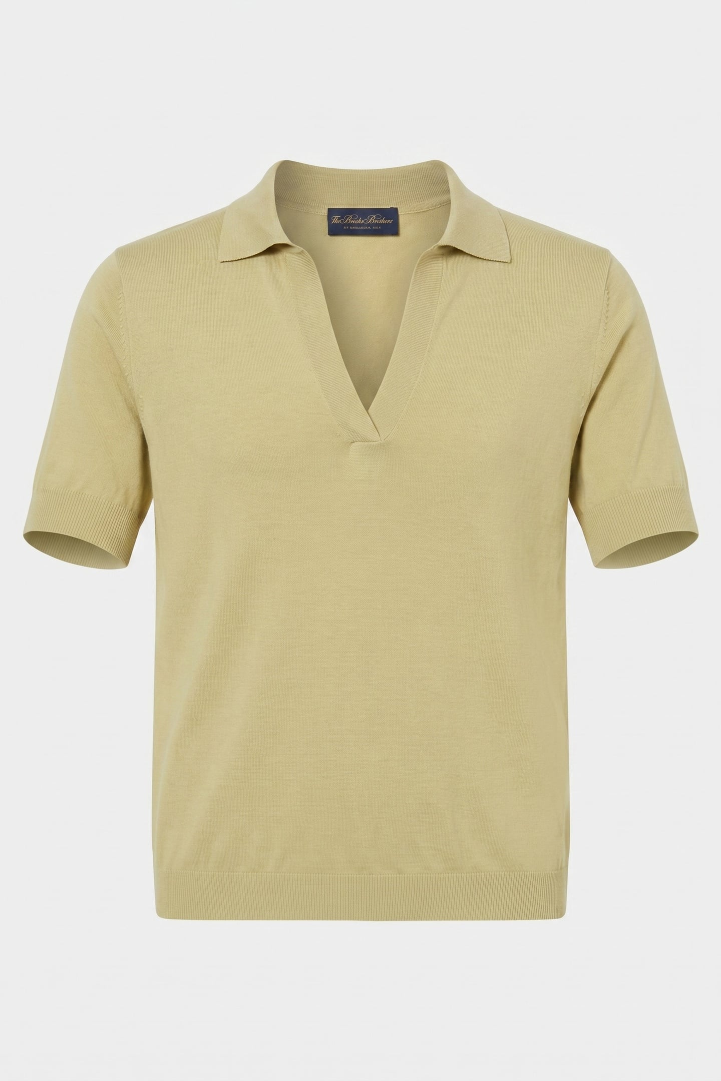 SILK BLEND KNIT POLO WITH JOHNNY COLLAR MINT 4