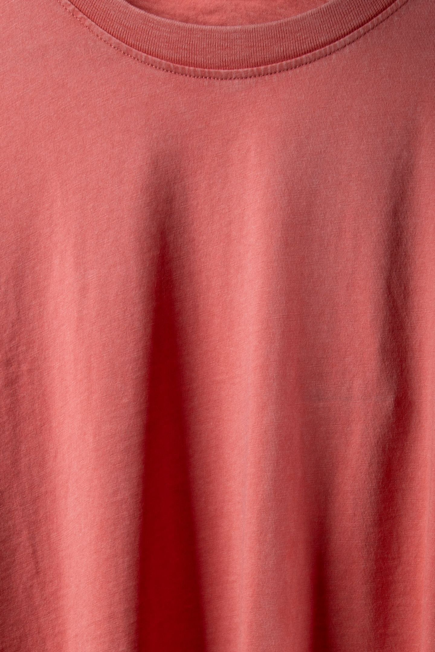 QS T-SHIRTS RED ROSE 5