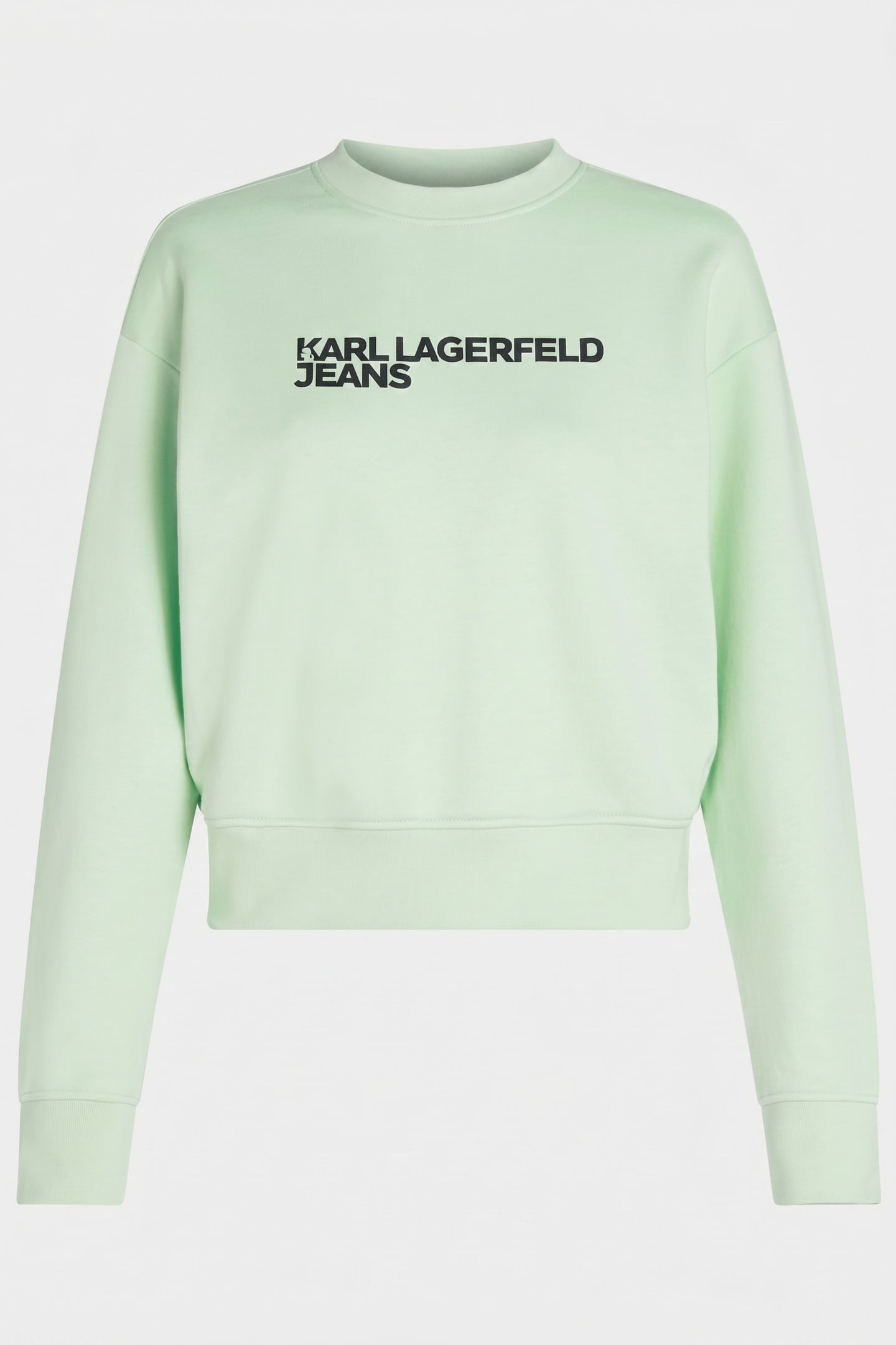 REG ESSENTIAL LOGO SWEAT BAY 3