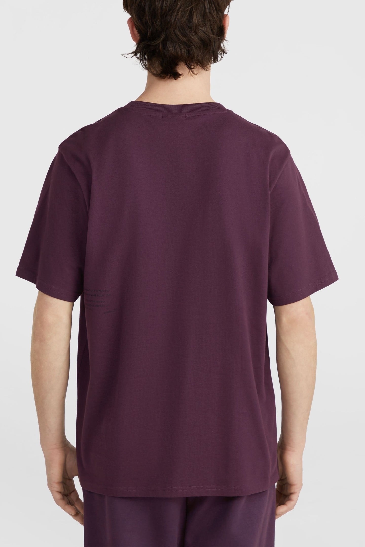 THE FUTURE SURF SOCIETY T-SHIRT AUBERGINE 3