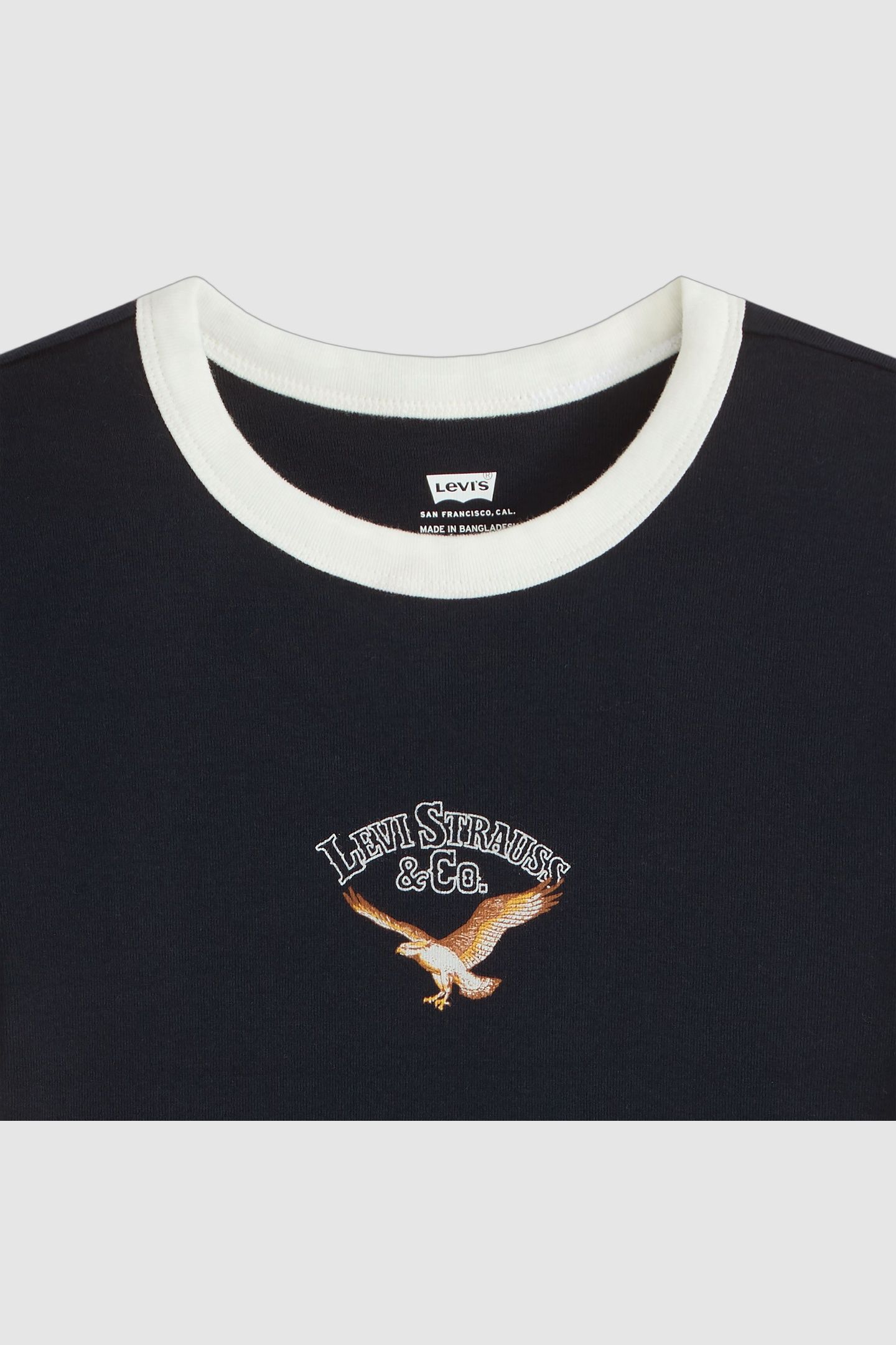GRAPHIC MINI RINGER TEE MULTICOLOR EAGLE 5