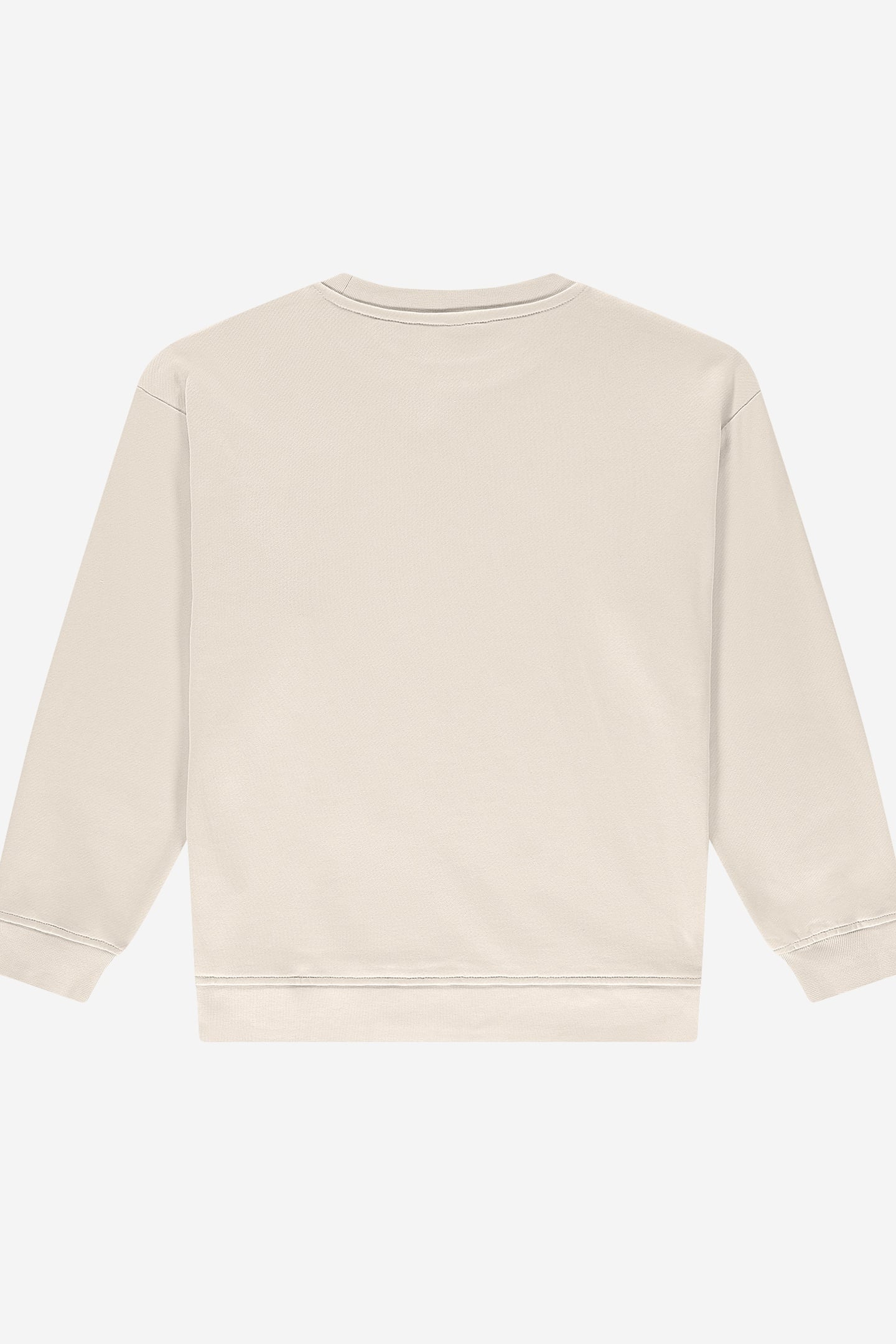 ICON OVERSIZED SWEATSHIRT WOOD ASH 2