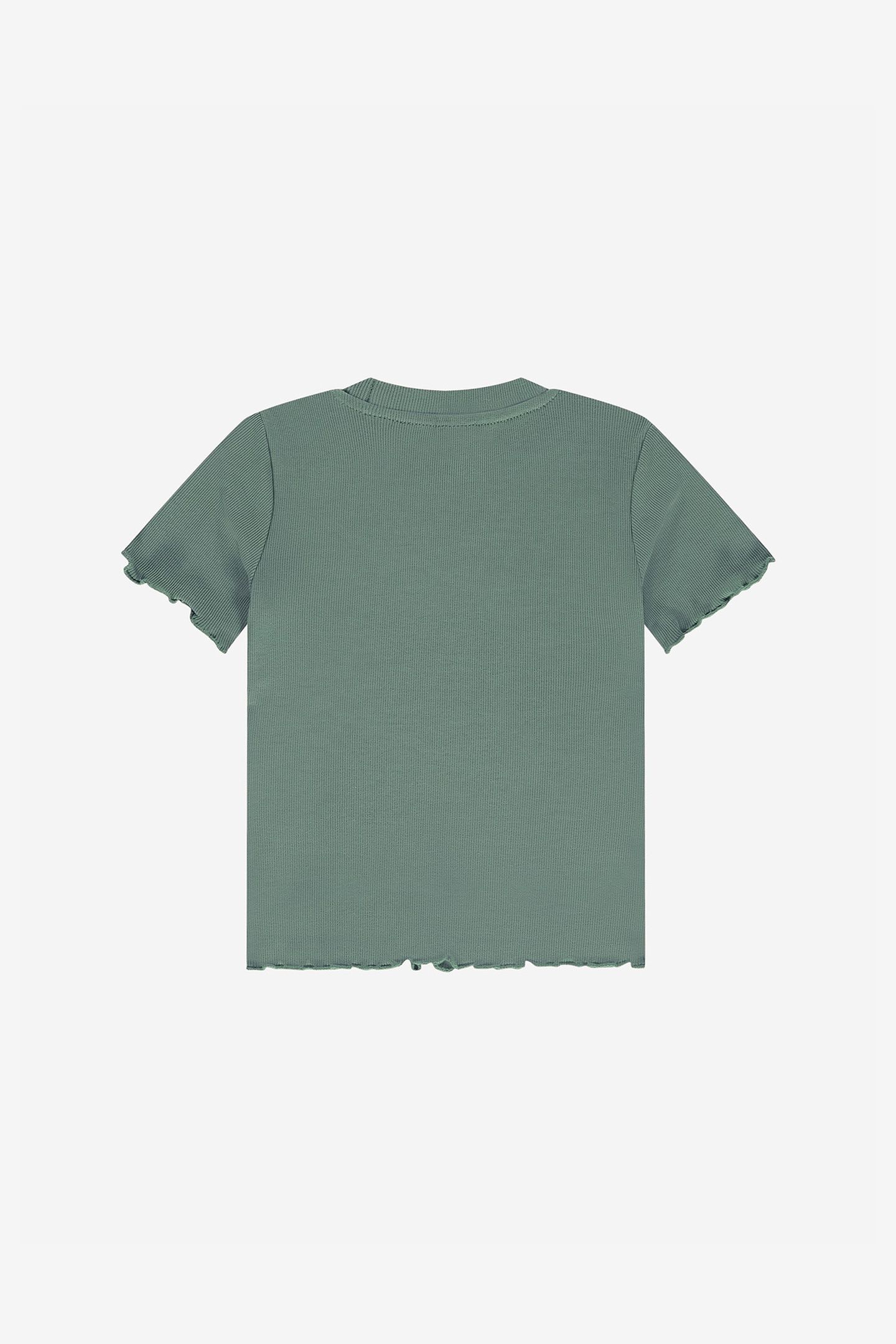 GRADIENT RIB T-SHIRT GREY GREEN 1