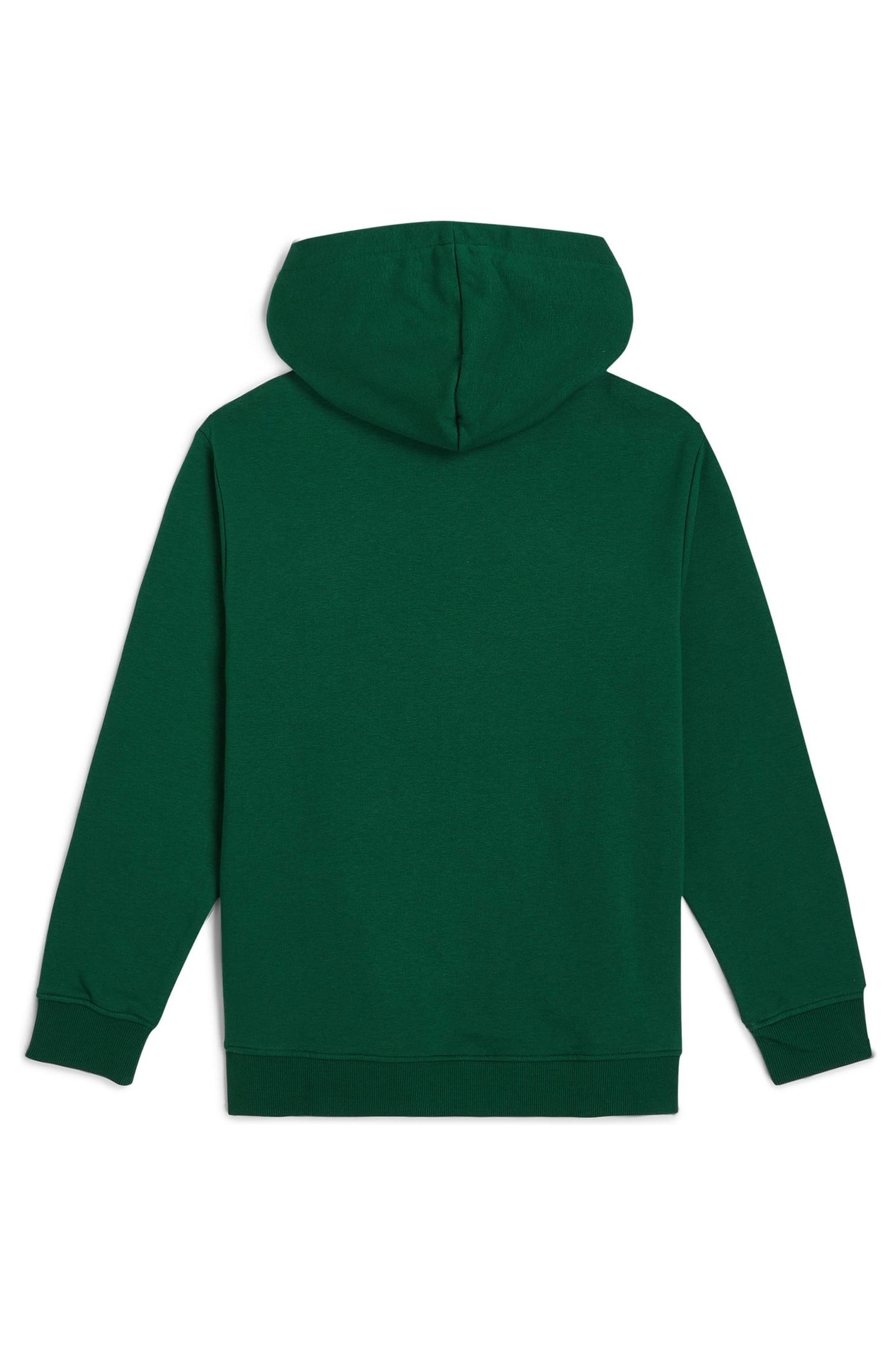 BOYS ESSENTIALS HOODIE EMERALD ENVY 3