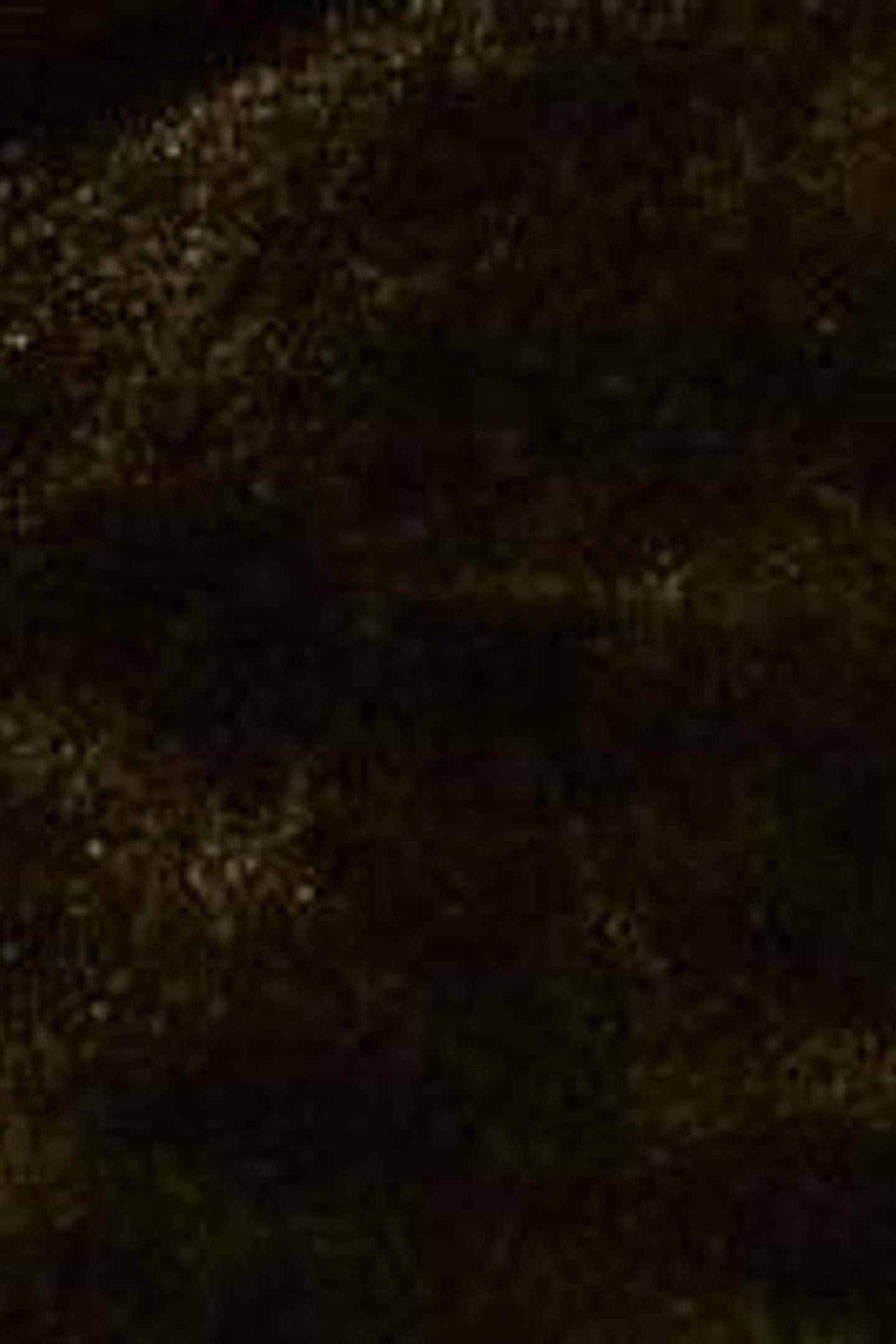 OLIVE VELVET TUNIC KHAKI GREEN 5