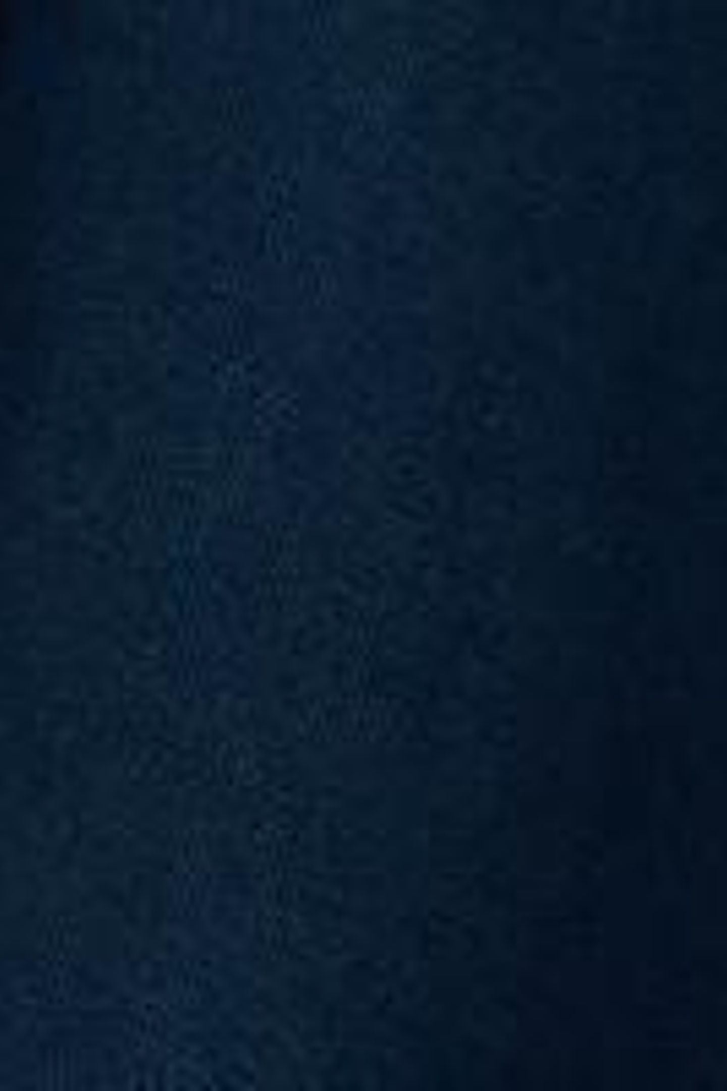 DEMI UTILITY LINEN JACKET DARK NAVY 6
