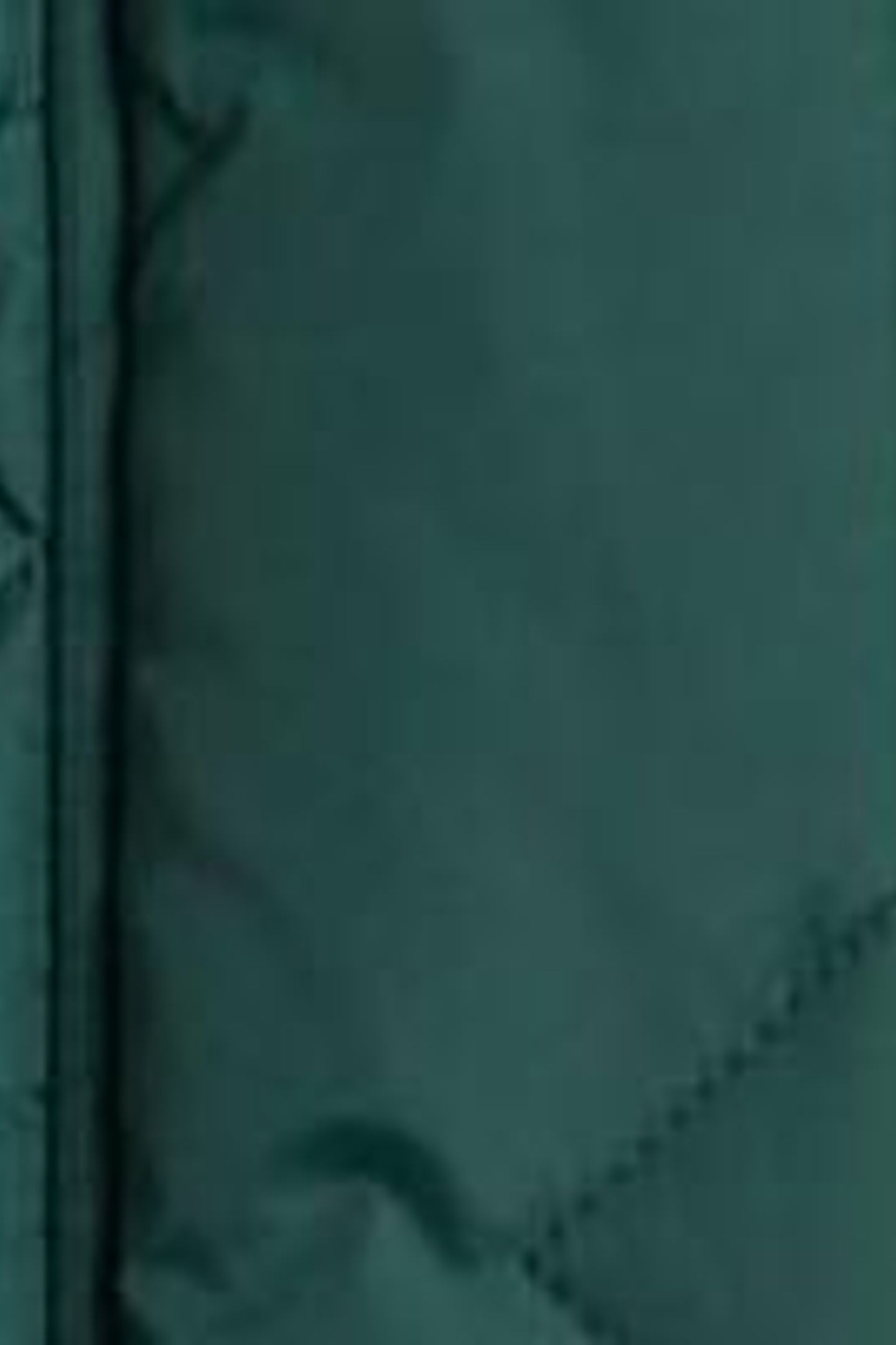 SLOANE QUILTED COAT DARK GREEN 5