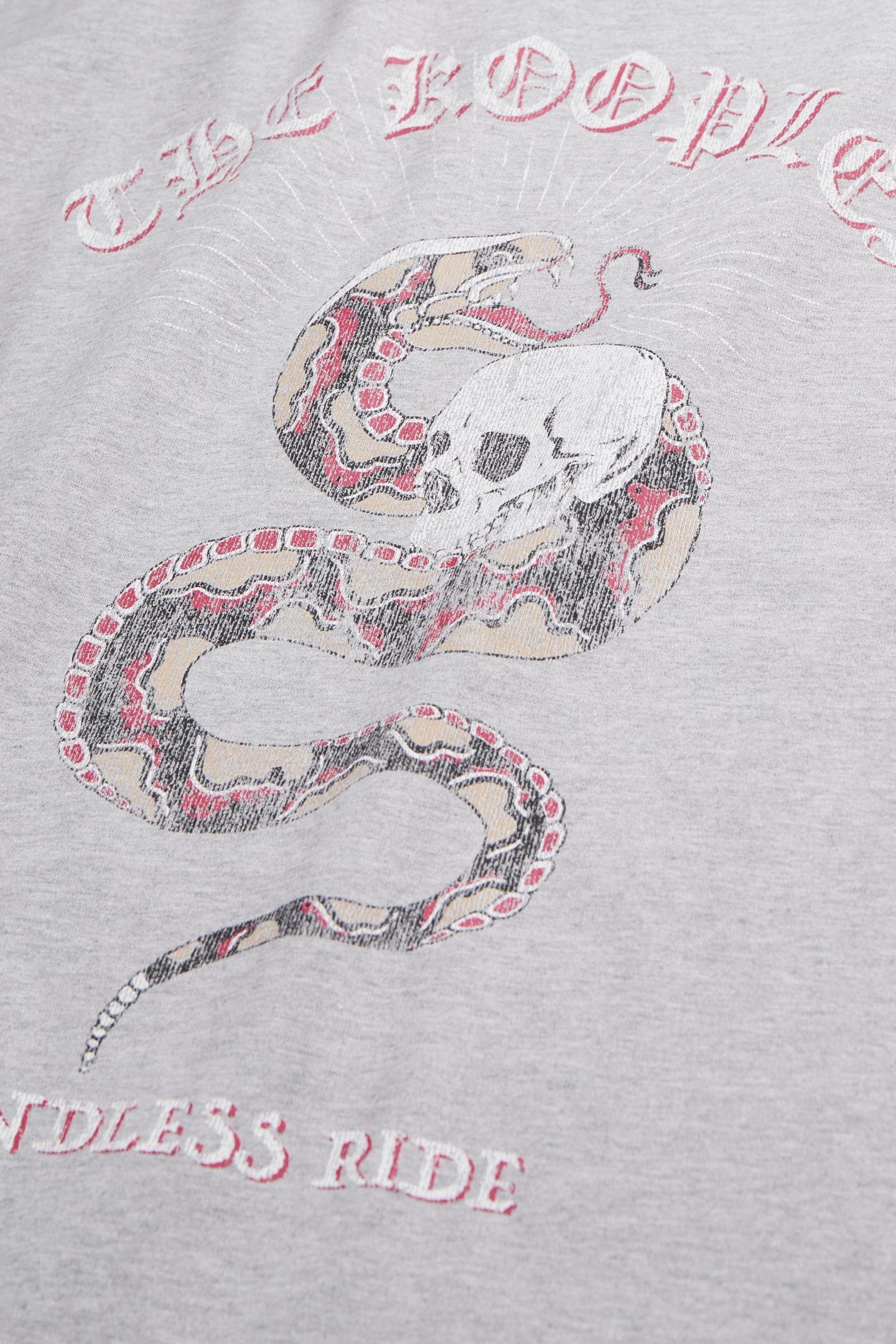 SHORT-SLEEVED T-SHIRT WITH SNAKE PRINT LIGHT GREY CHINE 6