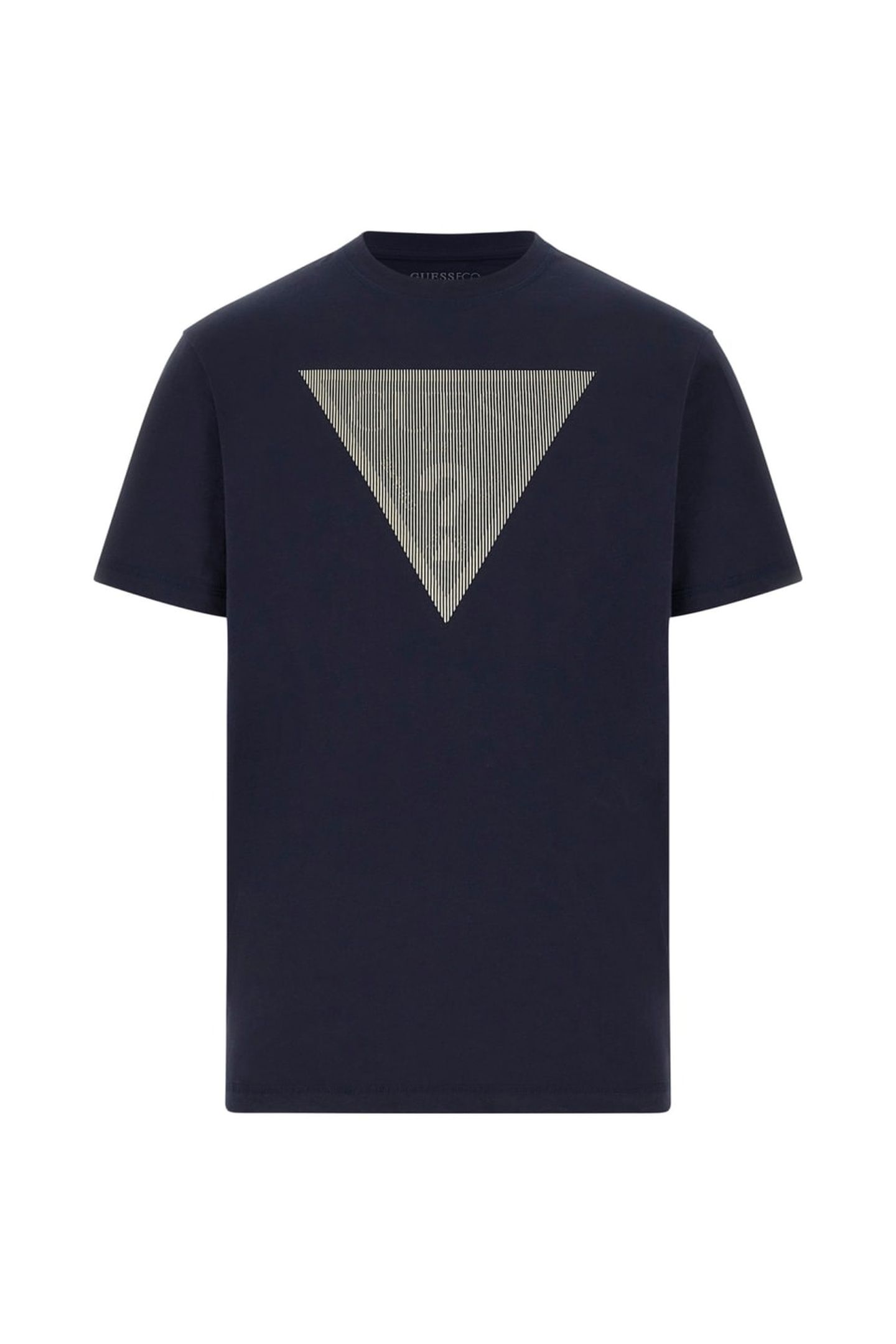 CN SS TRIANGLE LOGO SMART BLUE 5