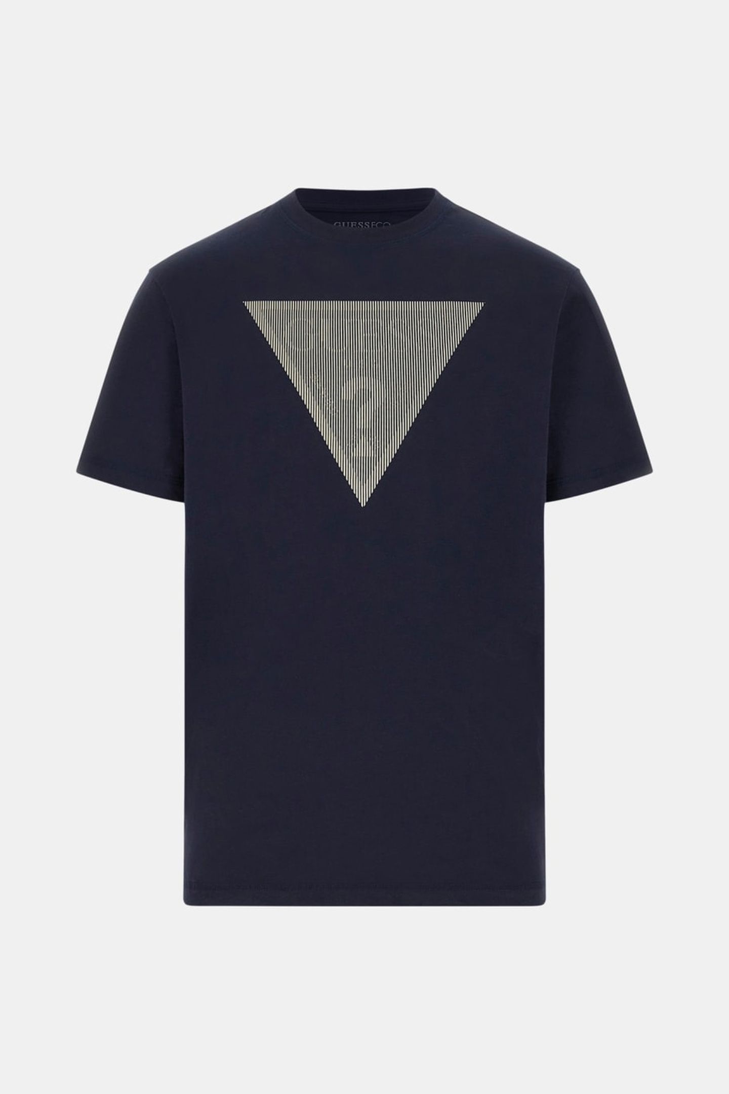 CN SS TRIANGLE LOGO SMART BLUE 4