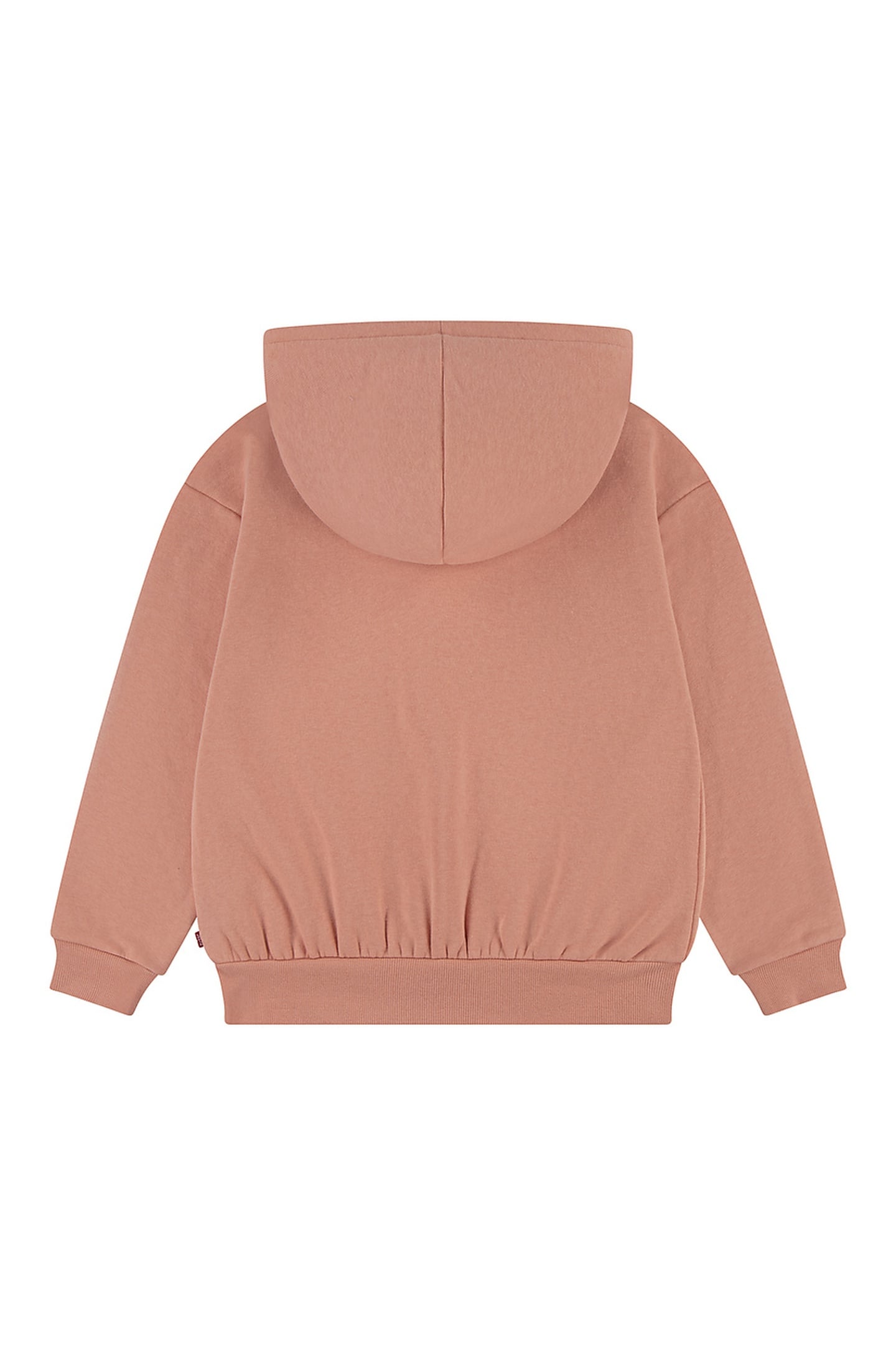 GIRLS POSTER LOGO HOODIE TERRA COTTA 2