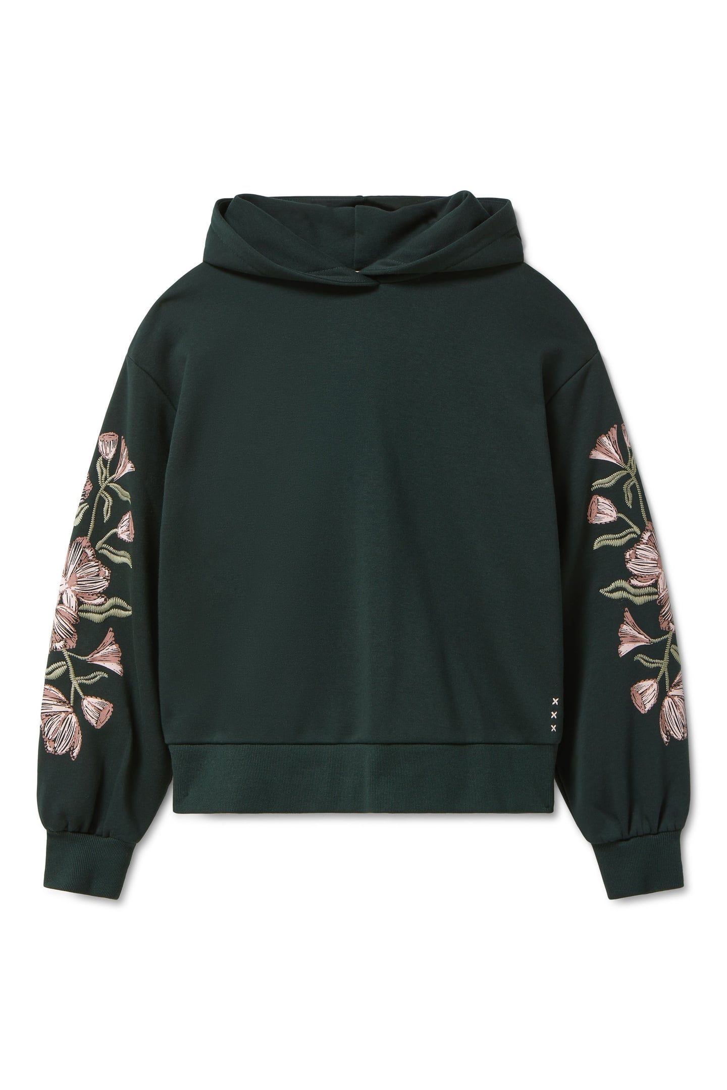 GRAPHIC HOODIE SCARAB PIGMENT/ EMBROIDERY 4