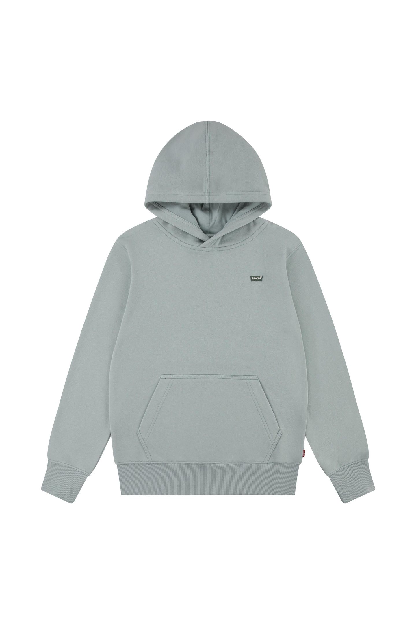 BOYS MINI BATWING PULL OVER HOODIE LEVI'SBLUESURF 1