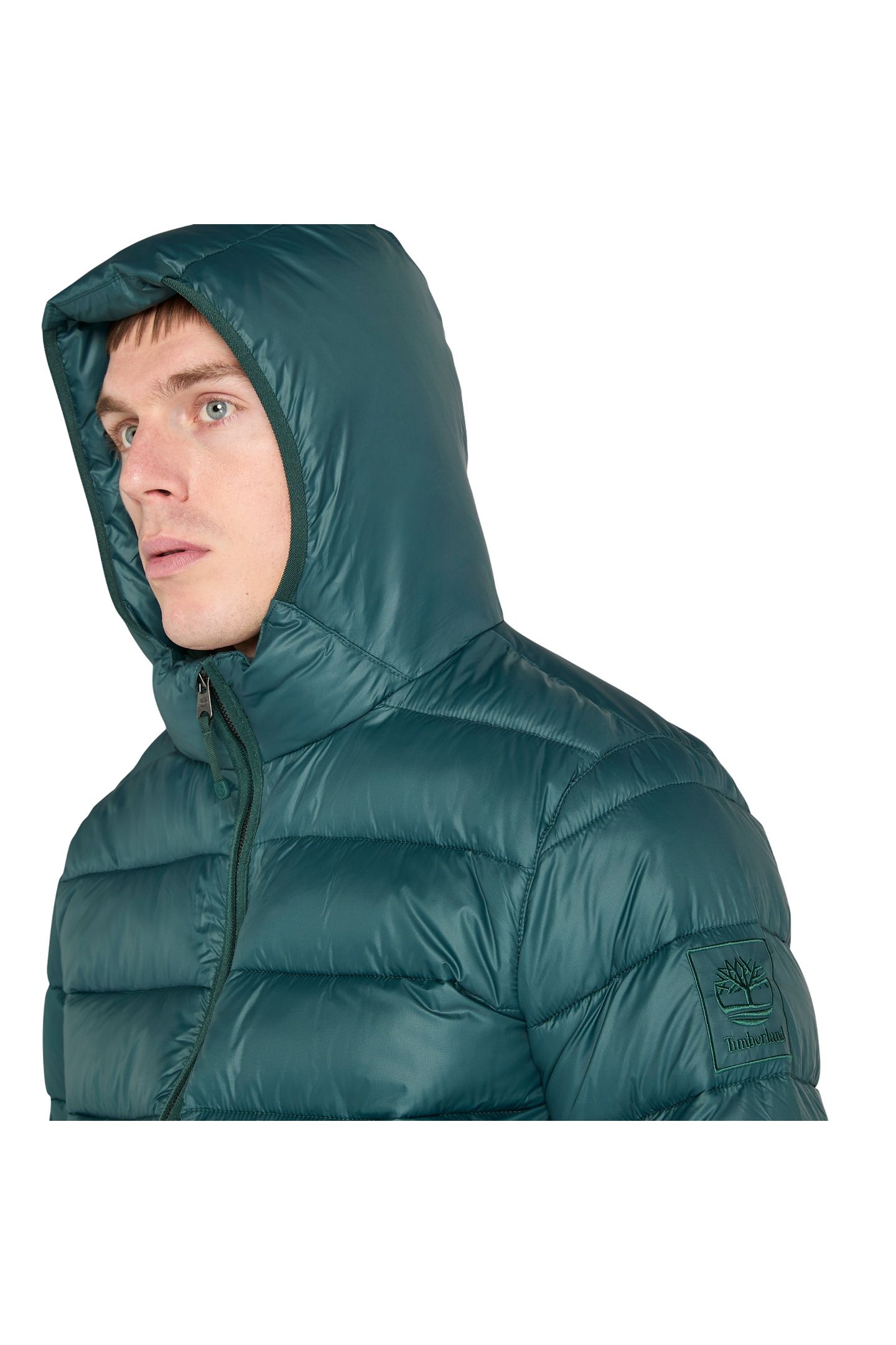 GARFIELD DURABLE WATER REPELLENT PUFFER JACKET GREEN GABLES 5