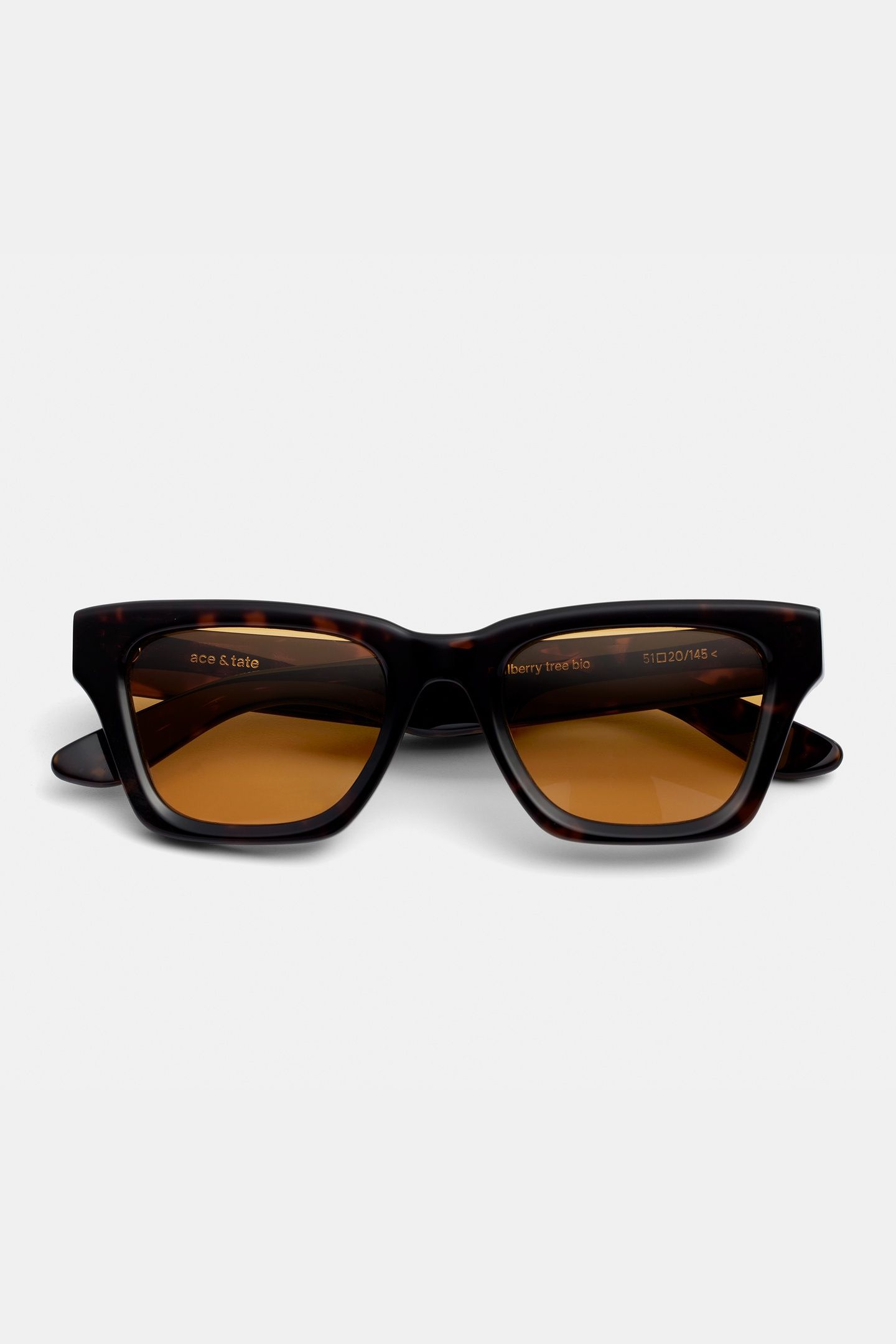 MAC-MULBERRY-TREE-AMBER-SUN 1